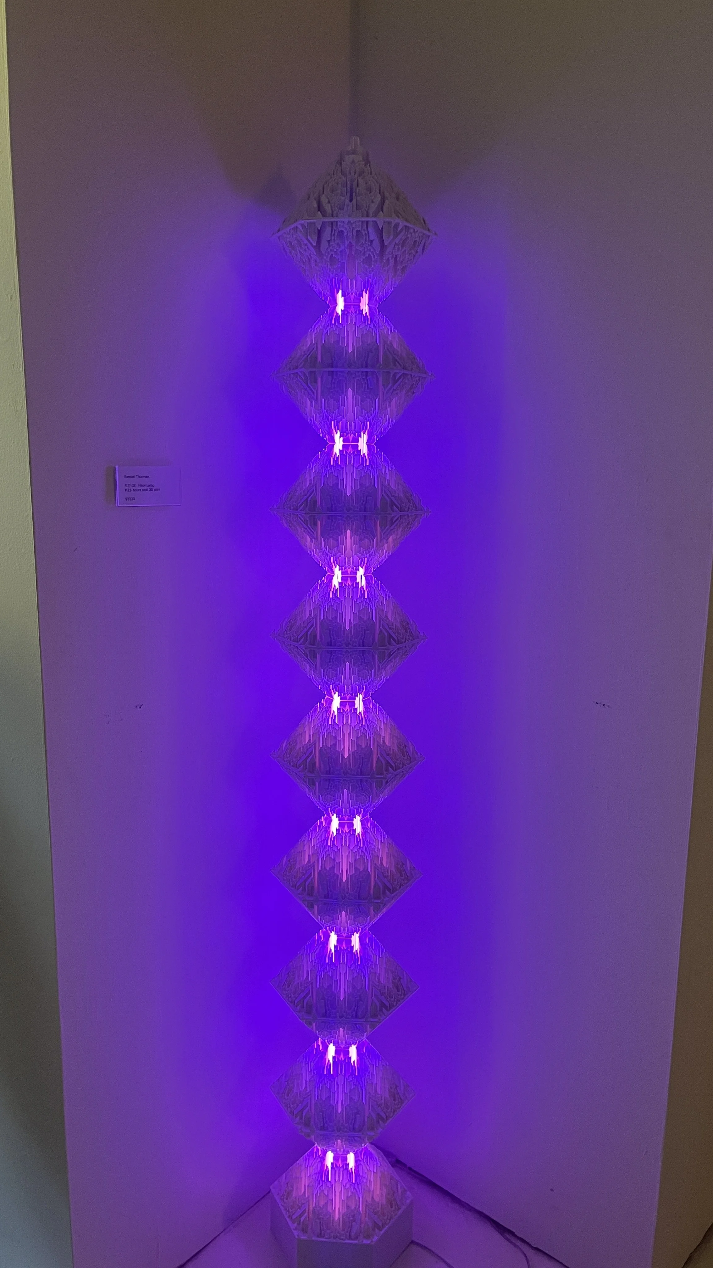 6 mem straight on (2).JPG