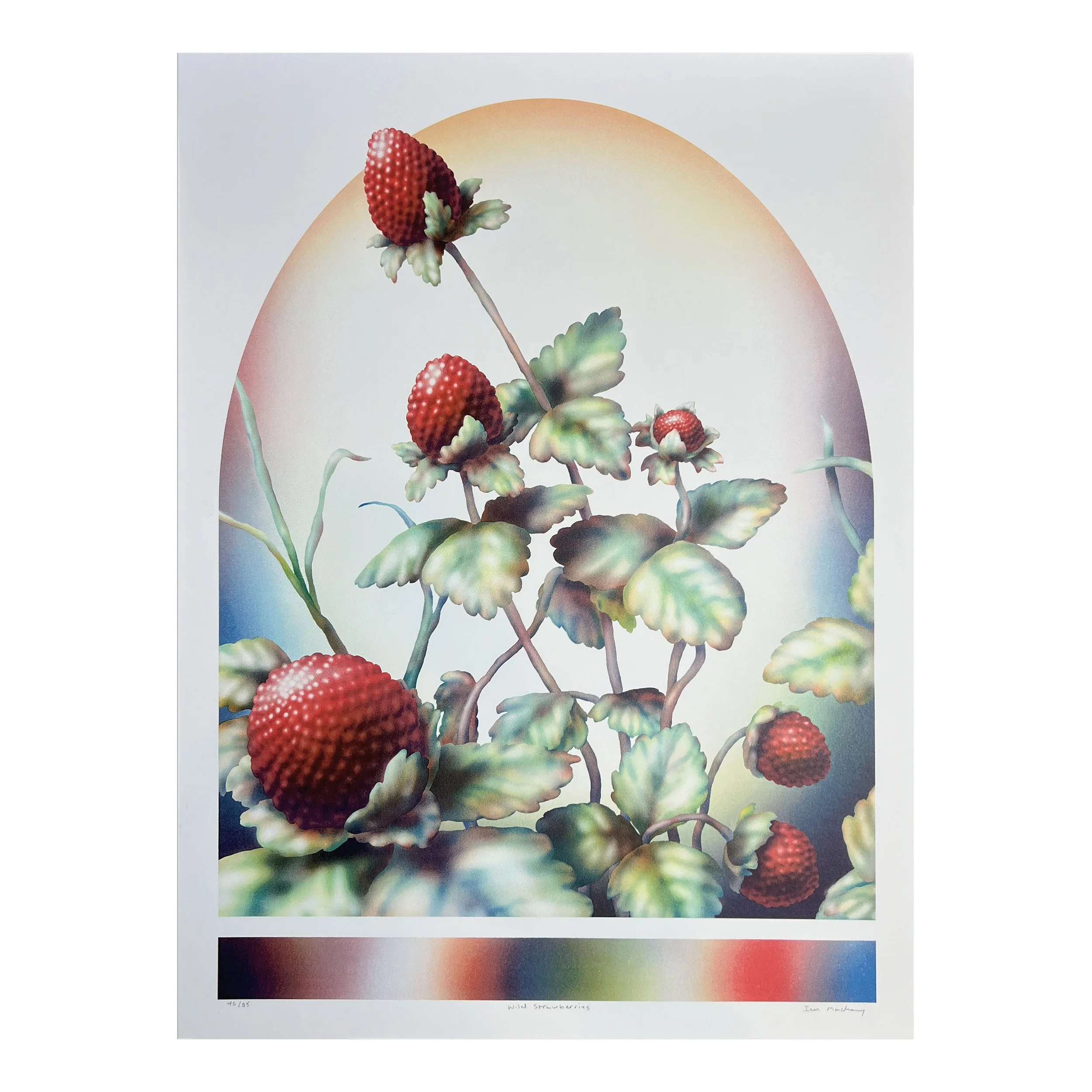 Stawberrys photos 1-1_0001_Layer 0.jpg