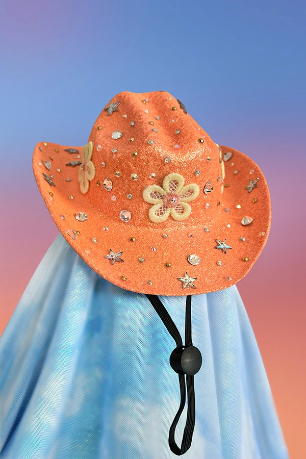 Sunburst Pet Hat w- string web.jpg