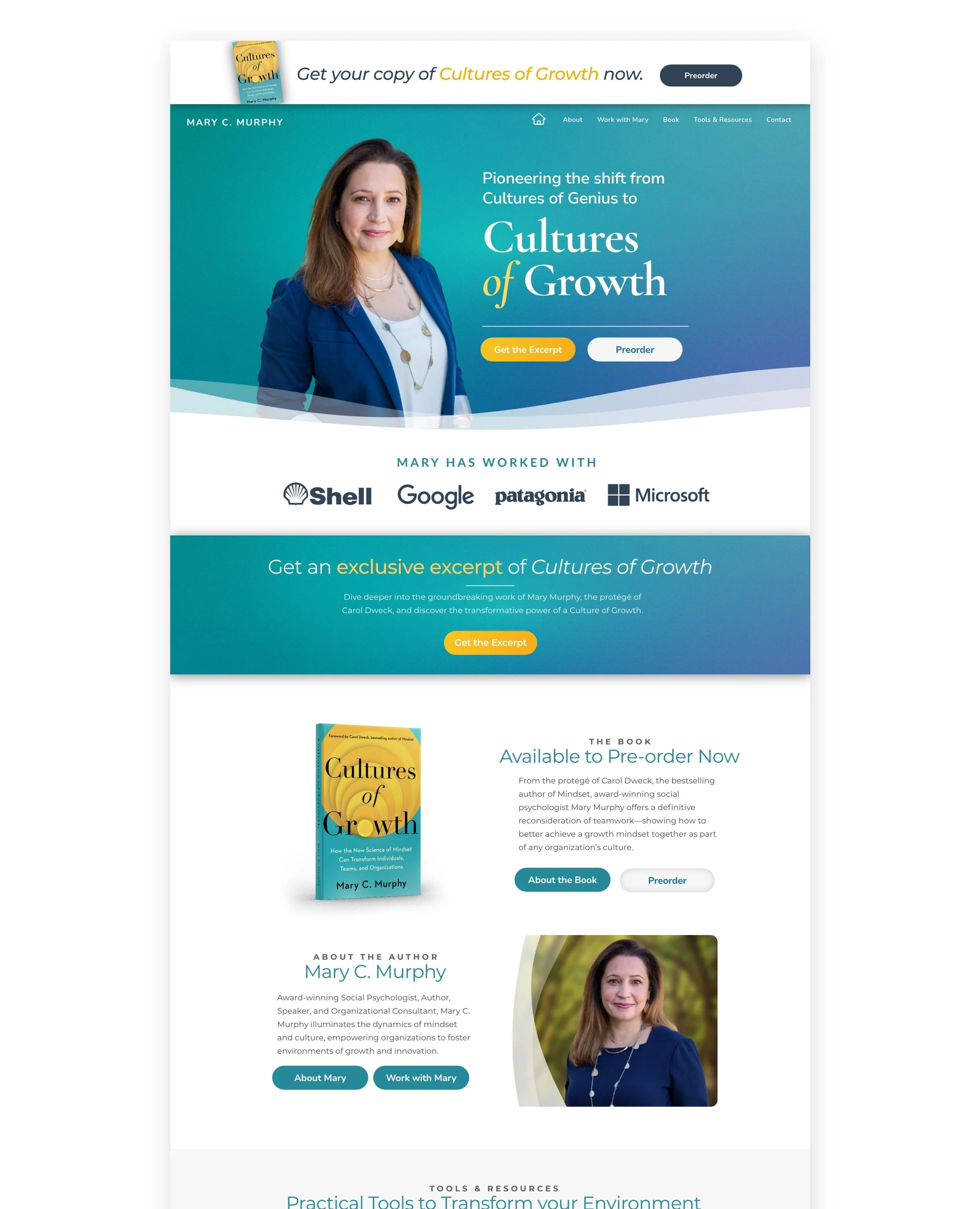 Website Branding Mary Murphy