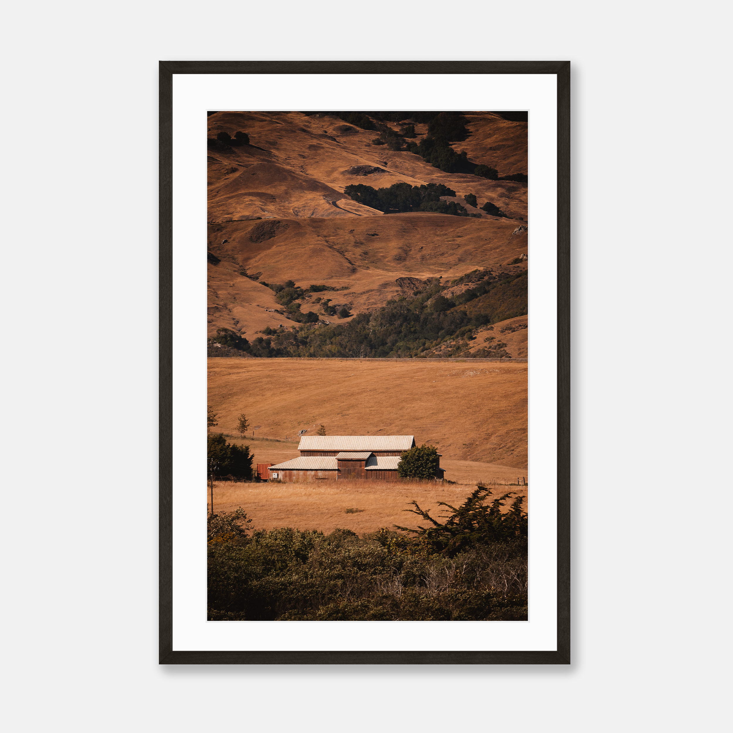 Pacific Coast Farm  — Framed Print