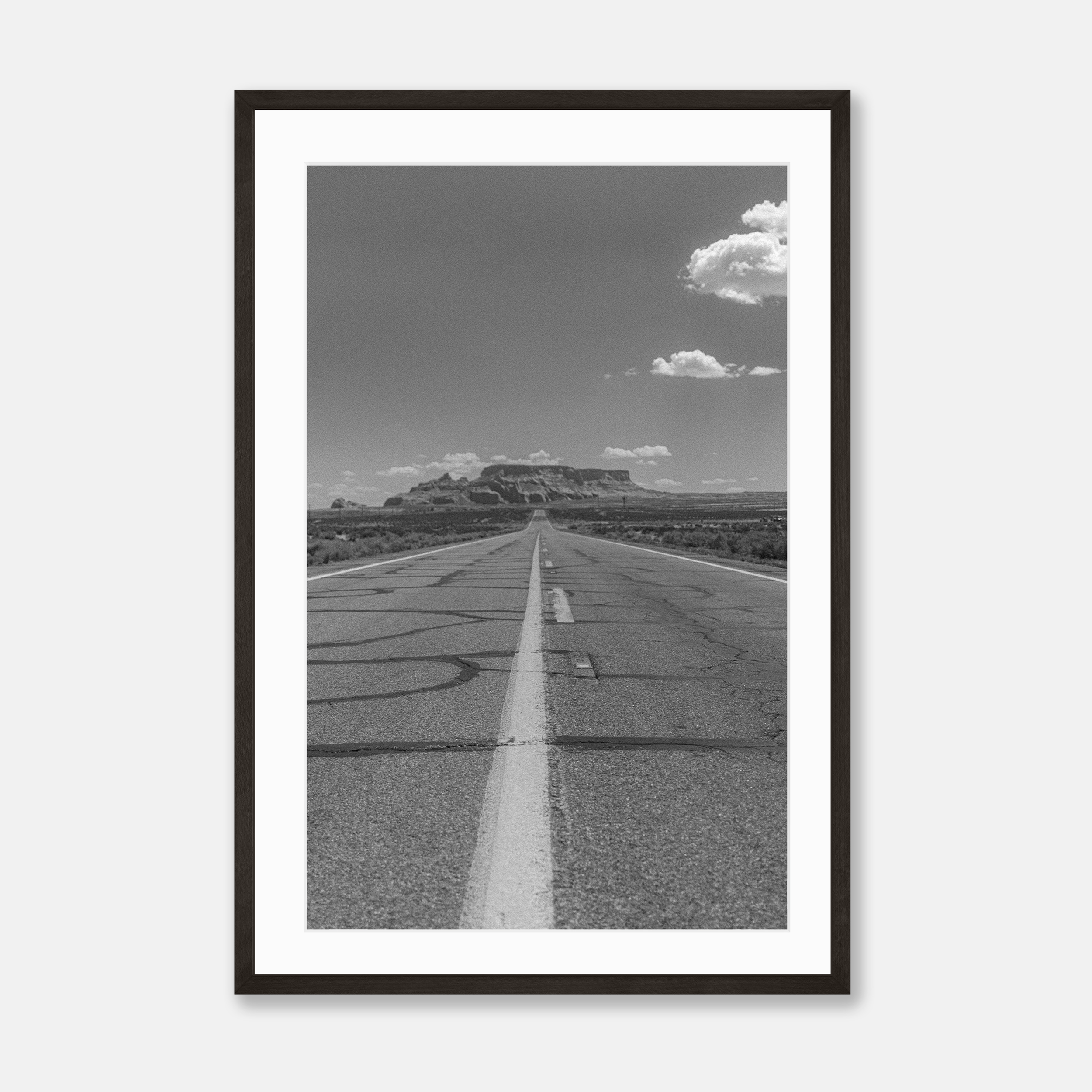Road Runner — Framed Print