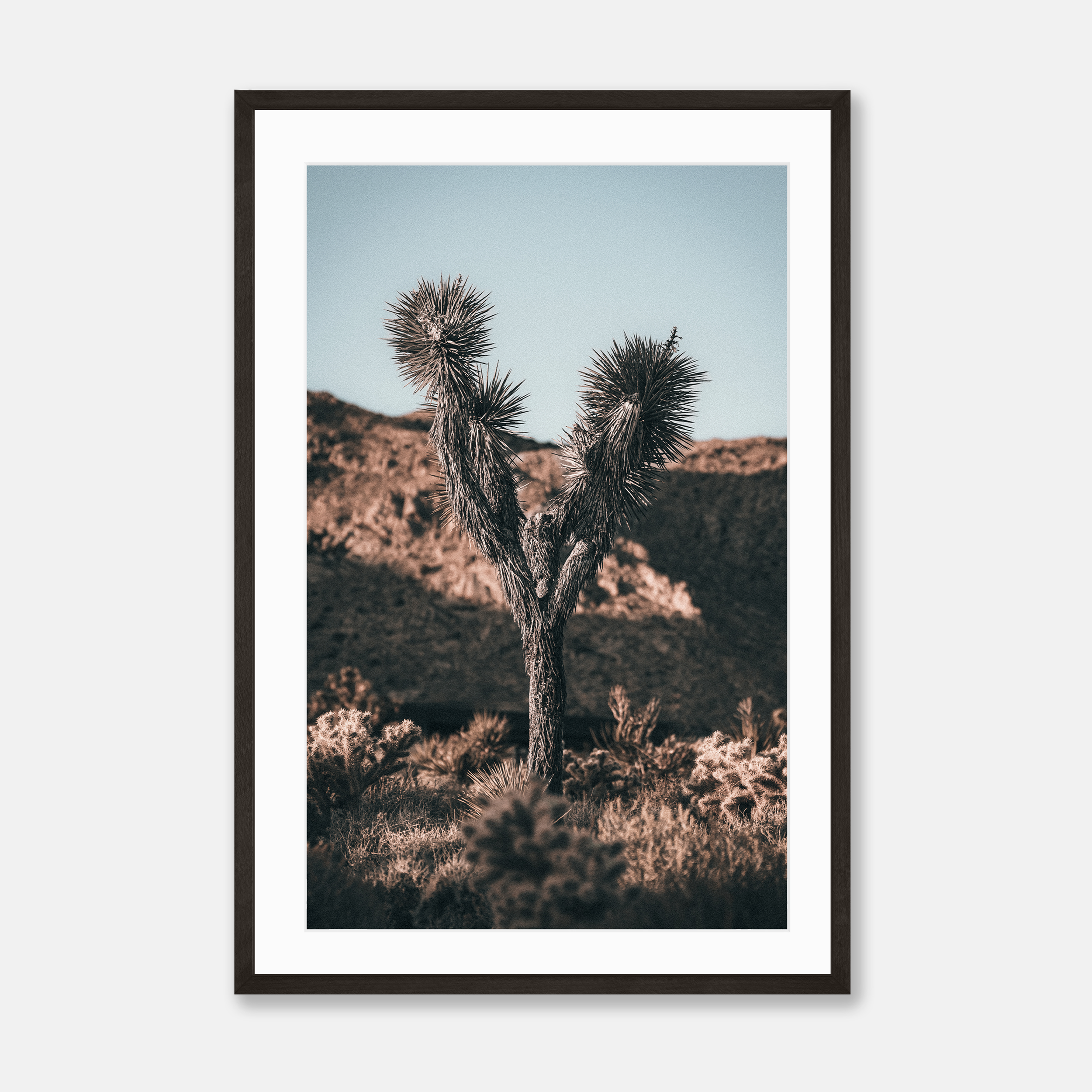 Joshua Tree Sunrise — Framed Print