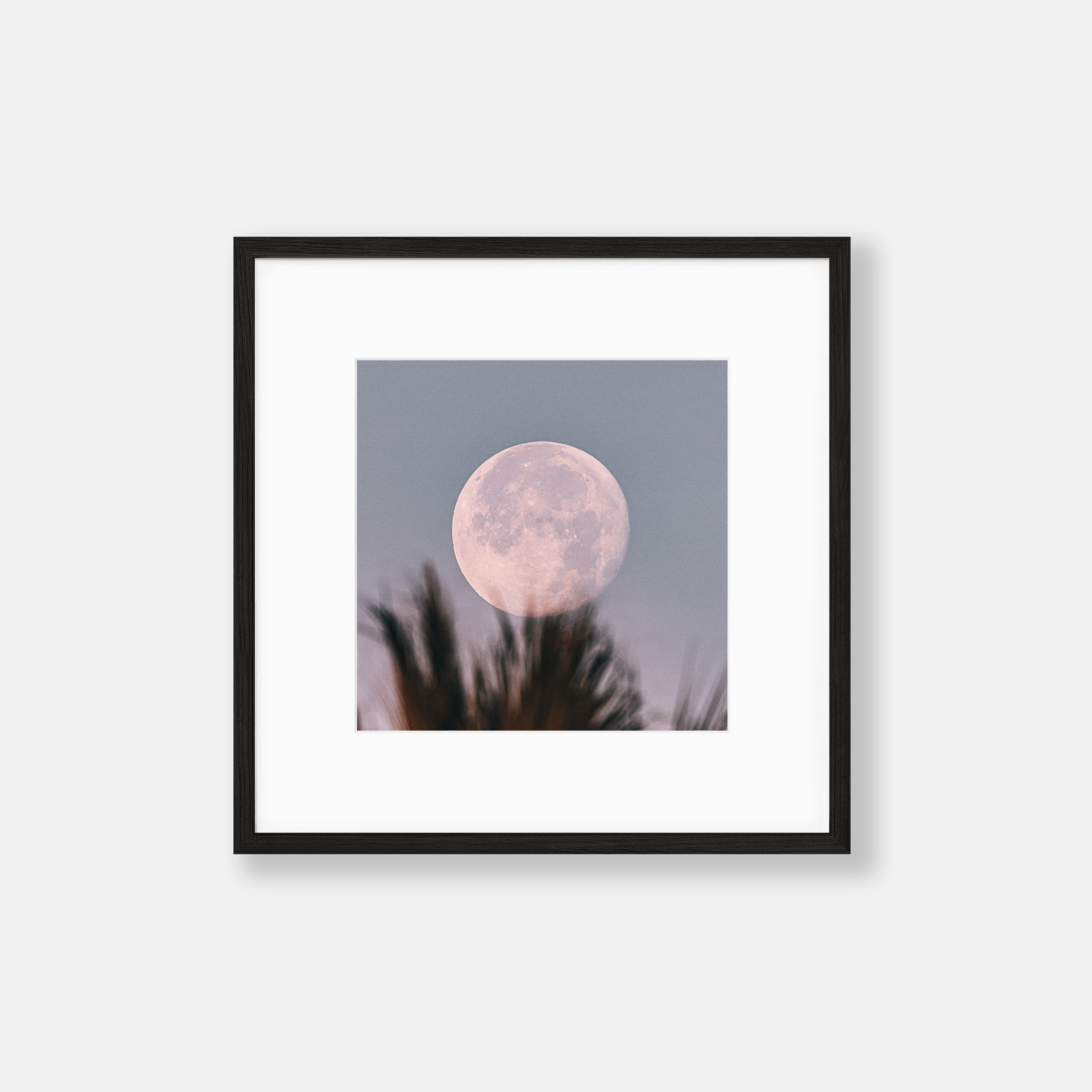 Morning Moonset — Framed Print