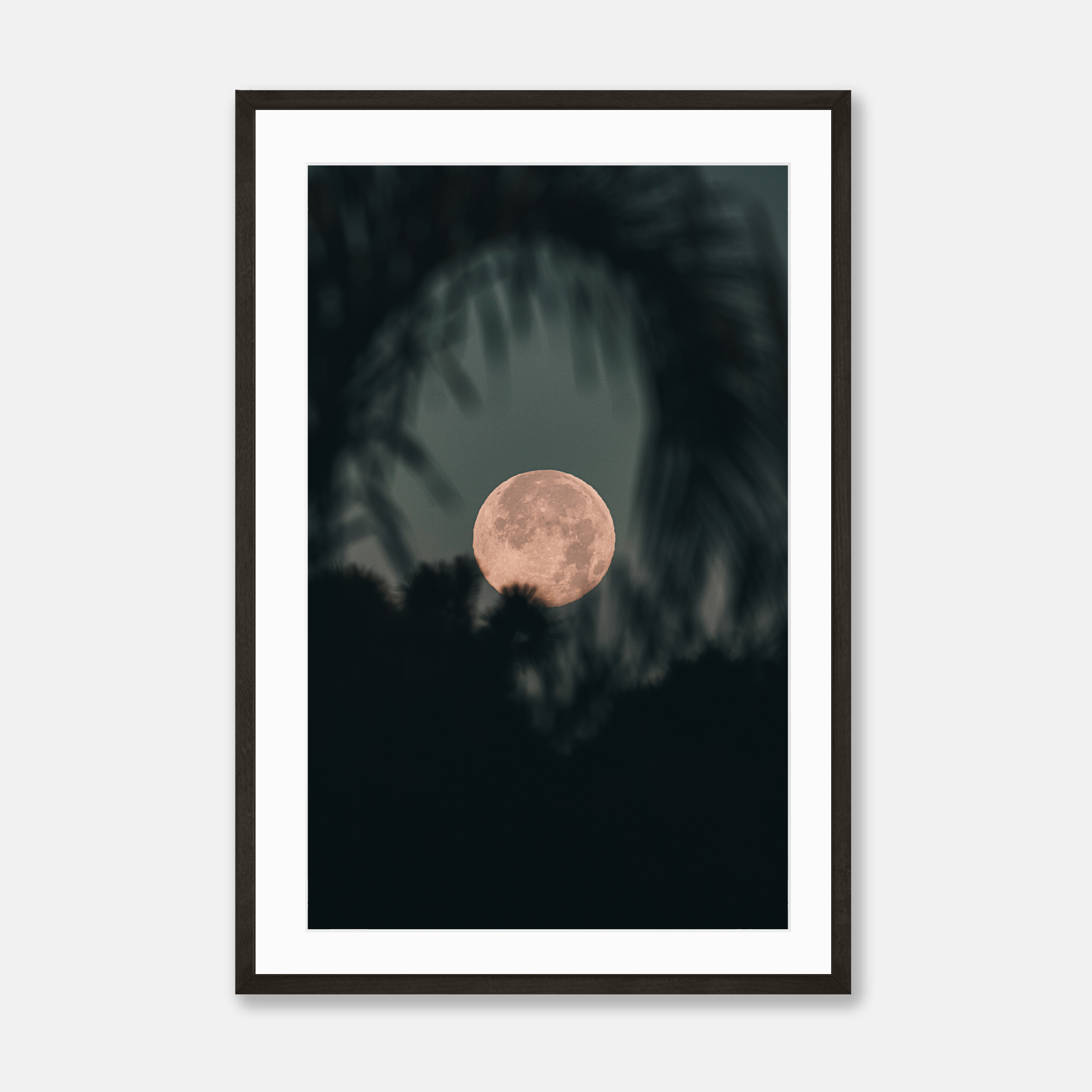 Wolf Full Moon — Framed Print