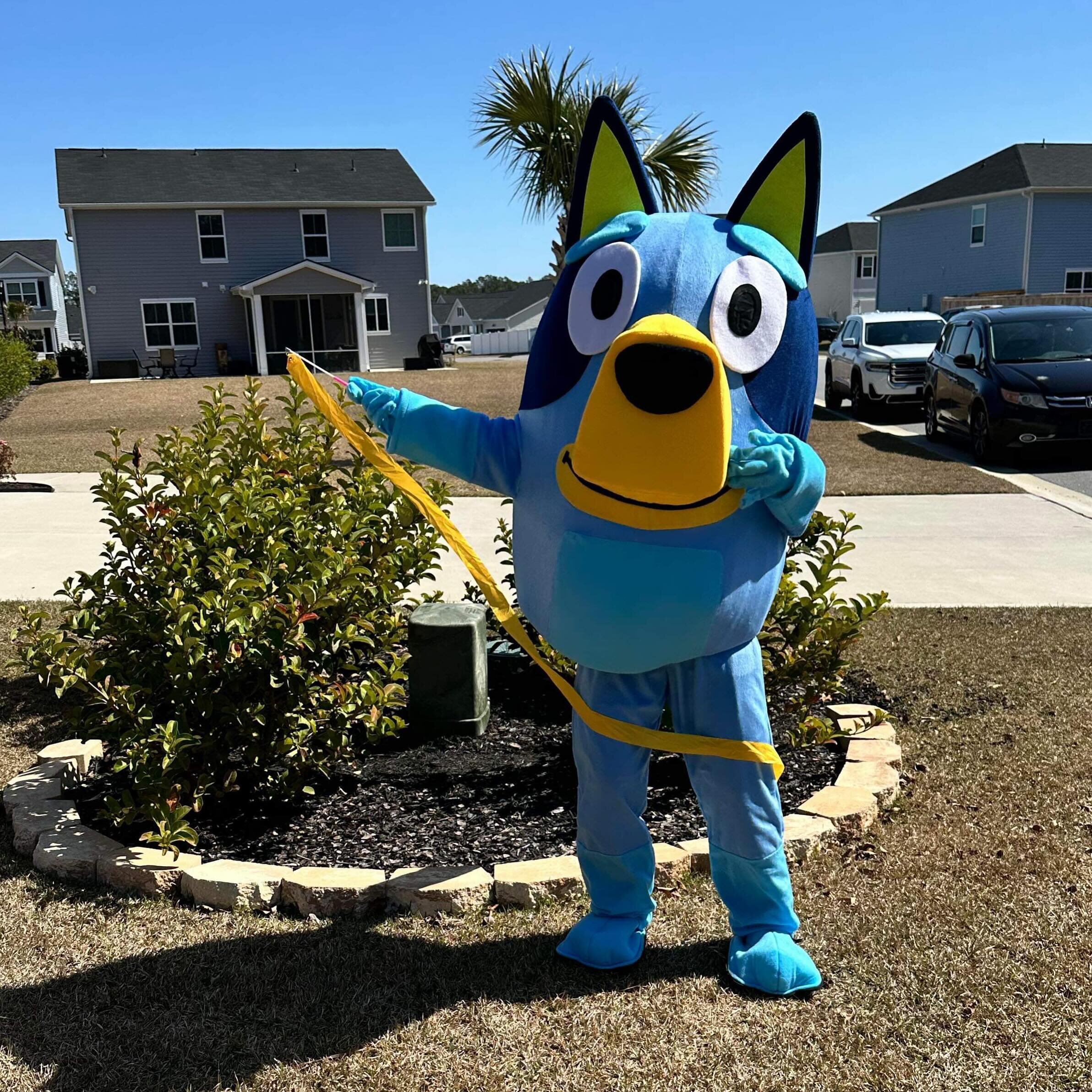 Gather up the kids BLUEY is coming SATURDAY!!!!!!!! She will make a guest appearance from 11am-12pm! #hiltonheadisland #bluey #stpatricksday #shoplocal #shopsmall #lowcountry