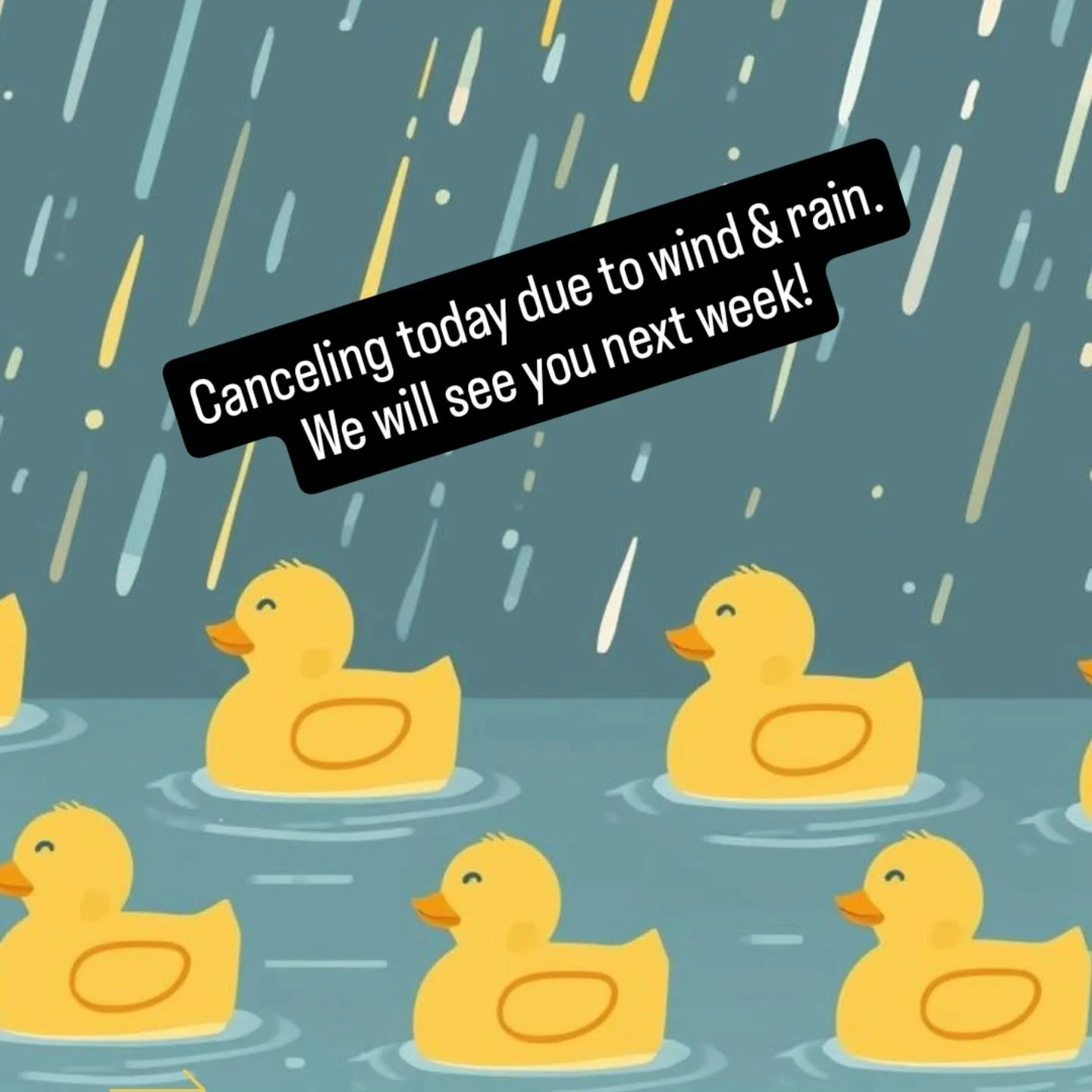 The wind combined with the rain? We're calling it for today. We'll see you next week!
