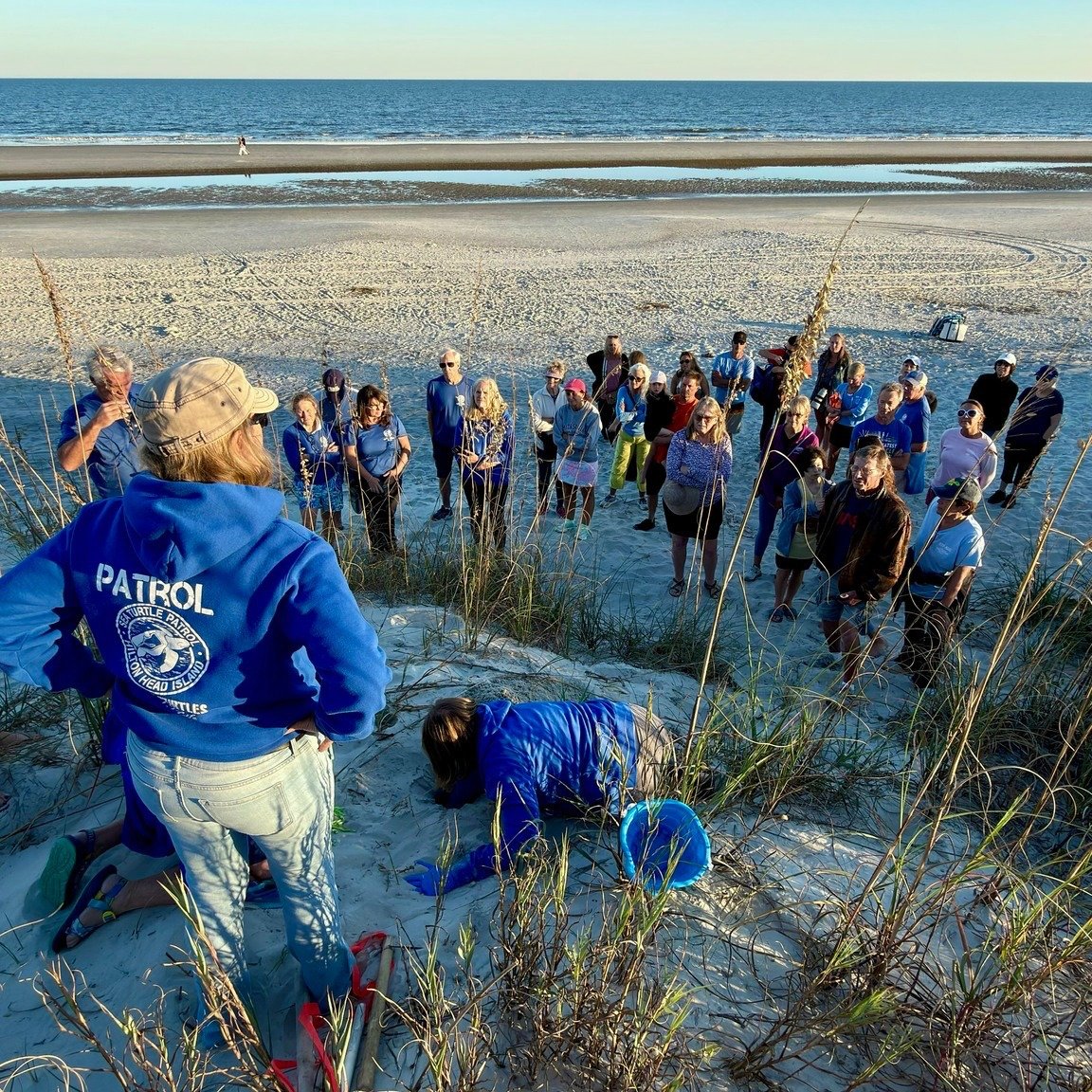 This Saturday is your last chance to learn more about the Sea Turtle Patrol Hilton Head Island at our market!

A volunteer-driven organization dedicated to protecting and preserving sea turtles along our shoreline.

Every nesting season, from May thr