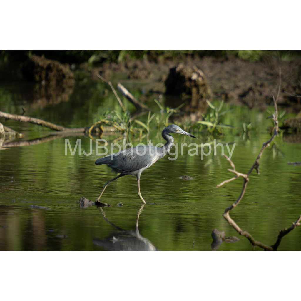 image_original_eb288cc938636efbc2f2a343dec61dd8.png