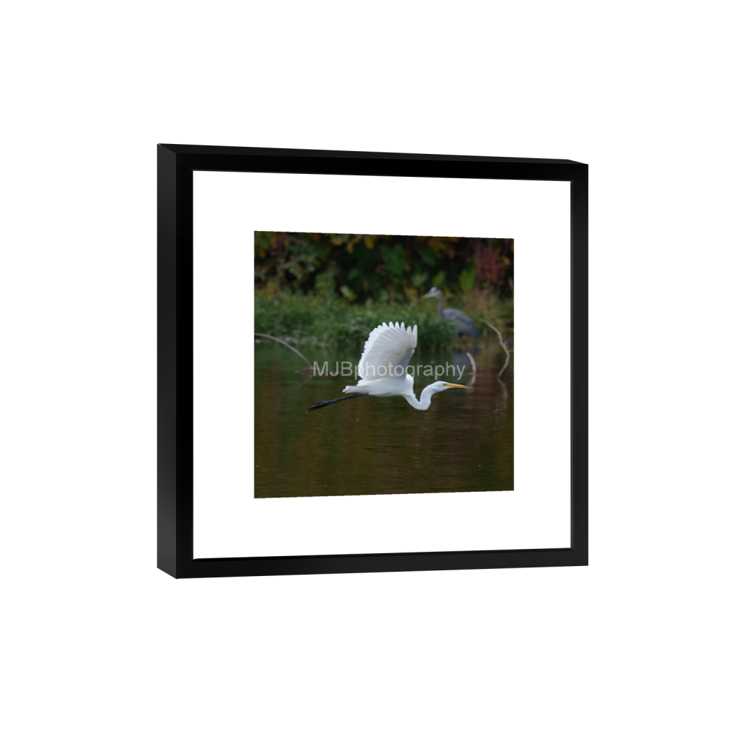 ptq_45_0_0_0_4128_4128_0_false_ffffff_0_0_eb288cc938636efbc2f2a343dec61dd8.png