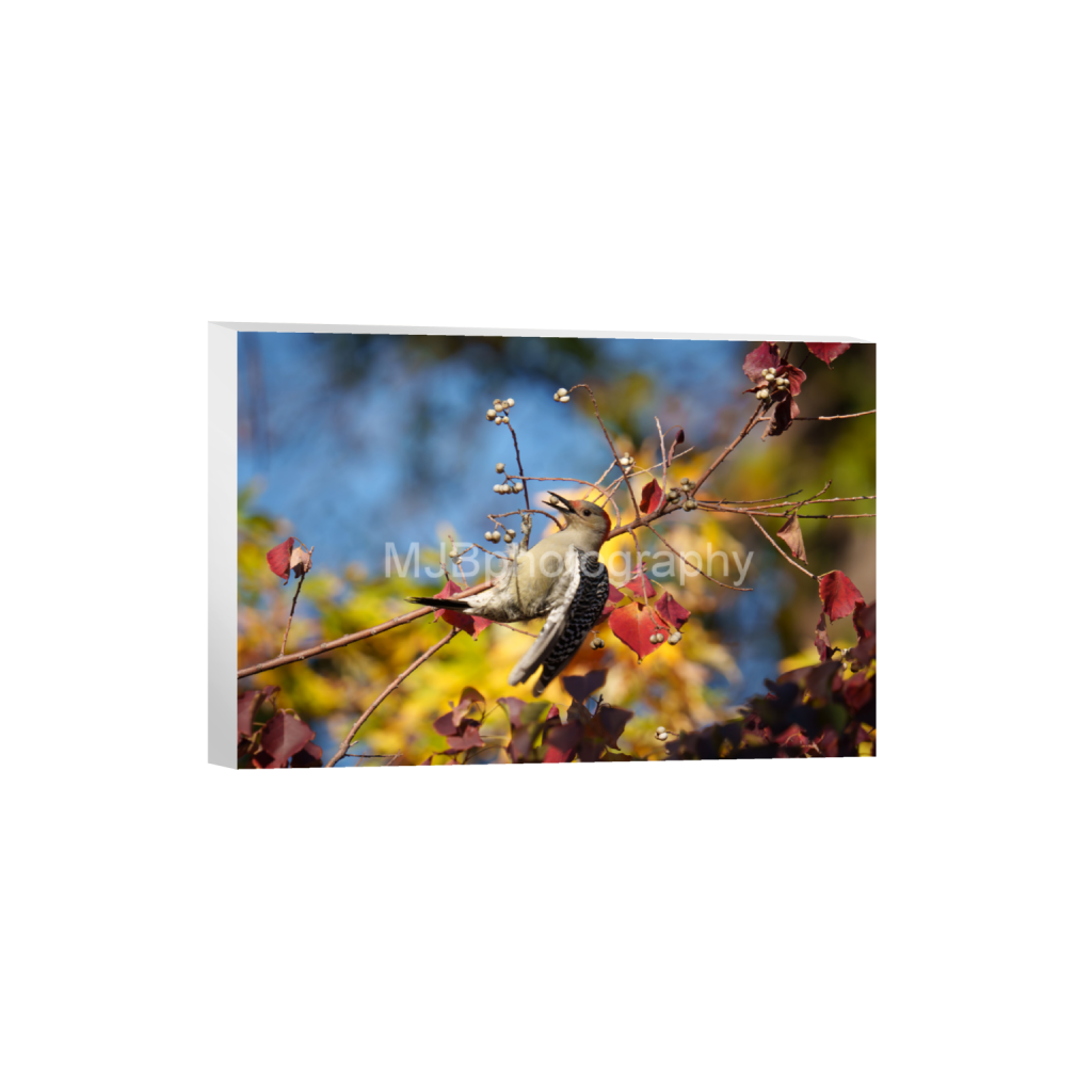ptq_7_3_0_0_6192_4128_0_false_ffffff_0_0_eb288cc938636efbc2f2a343dec61dd8.png