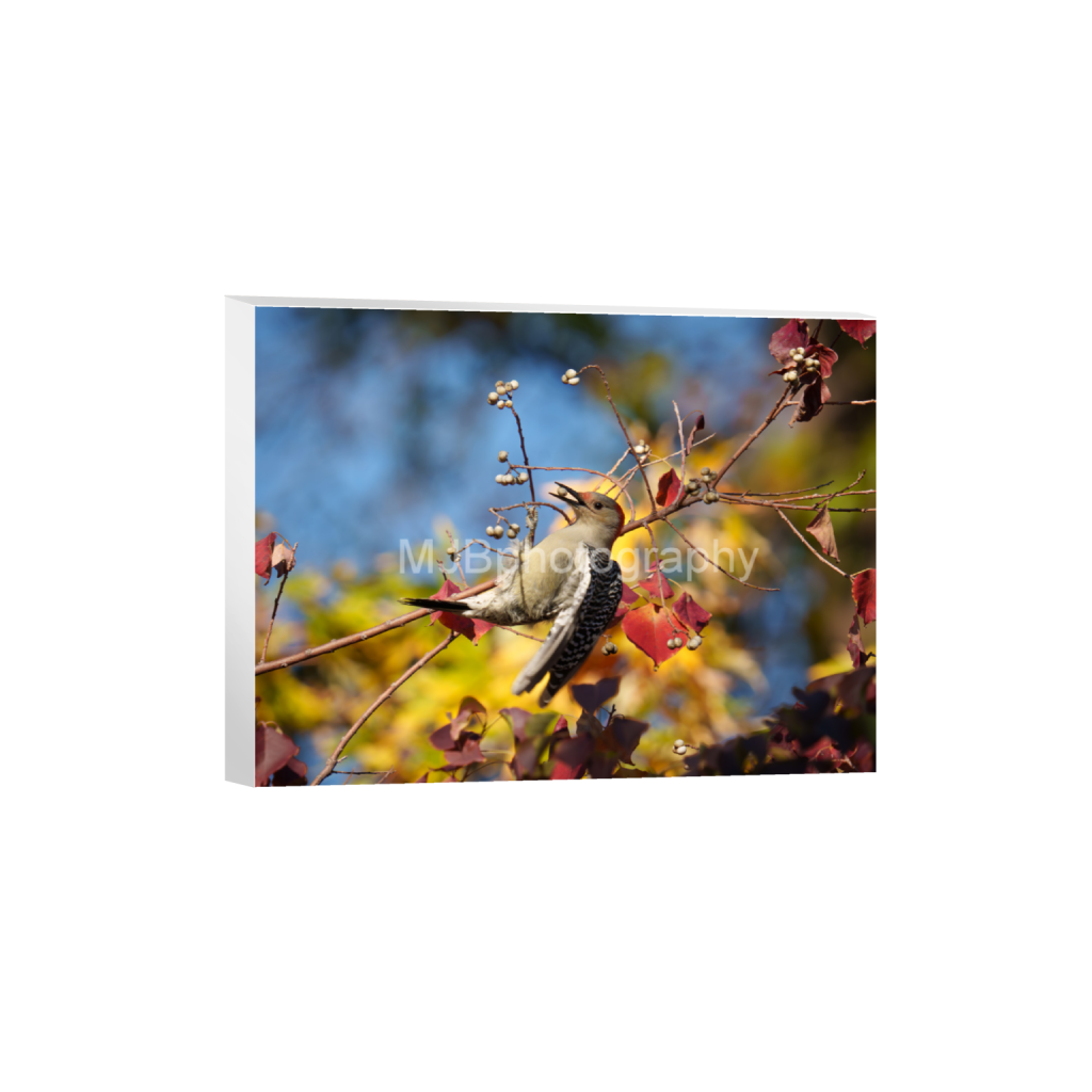 ptq_7_5_344_0_5504_4128_0_false_ffffff_0_0_eb288cc938636efbc2f2a343dec61dd8.png