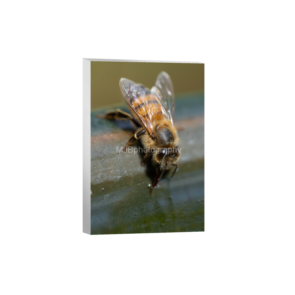 ptq_7_3_0_0_4128_6192_0_false_ffffff_0_0_eb288cc938636efbc2f2a343dec61dd8.png