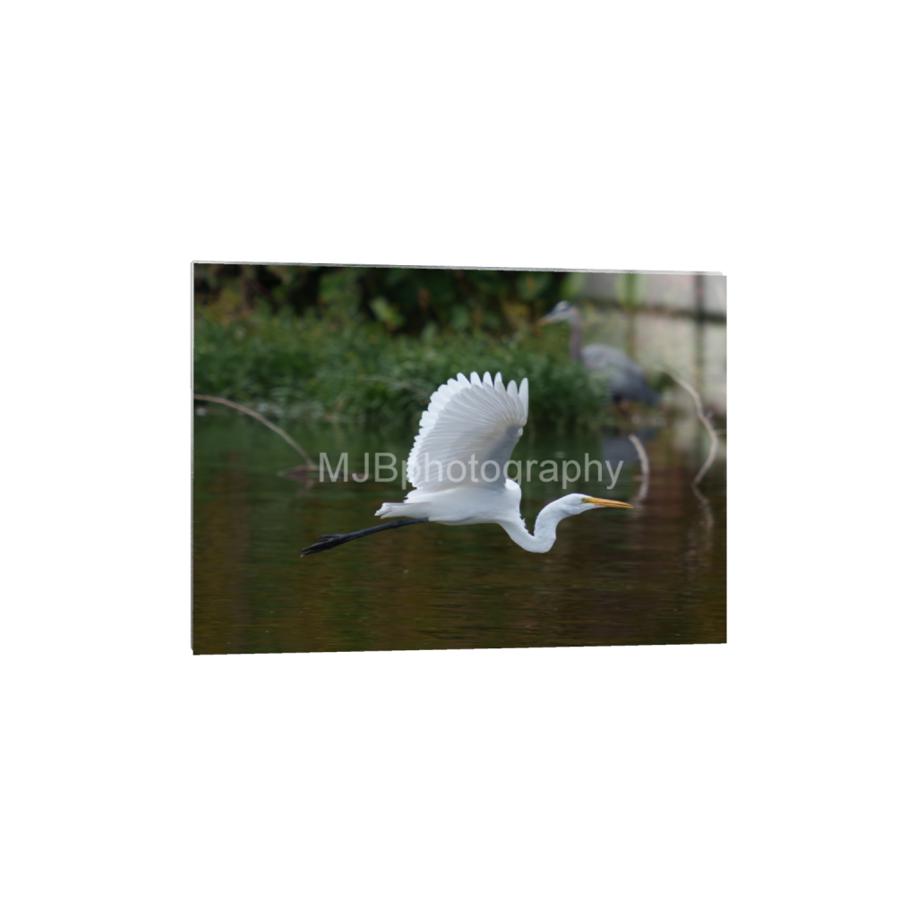ptq_13_7_0_589_4128_2948_0_false_ffffff_0_0_eb288cc938636efbc2f2a343dec61dd8.png