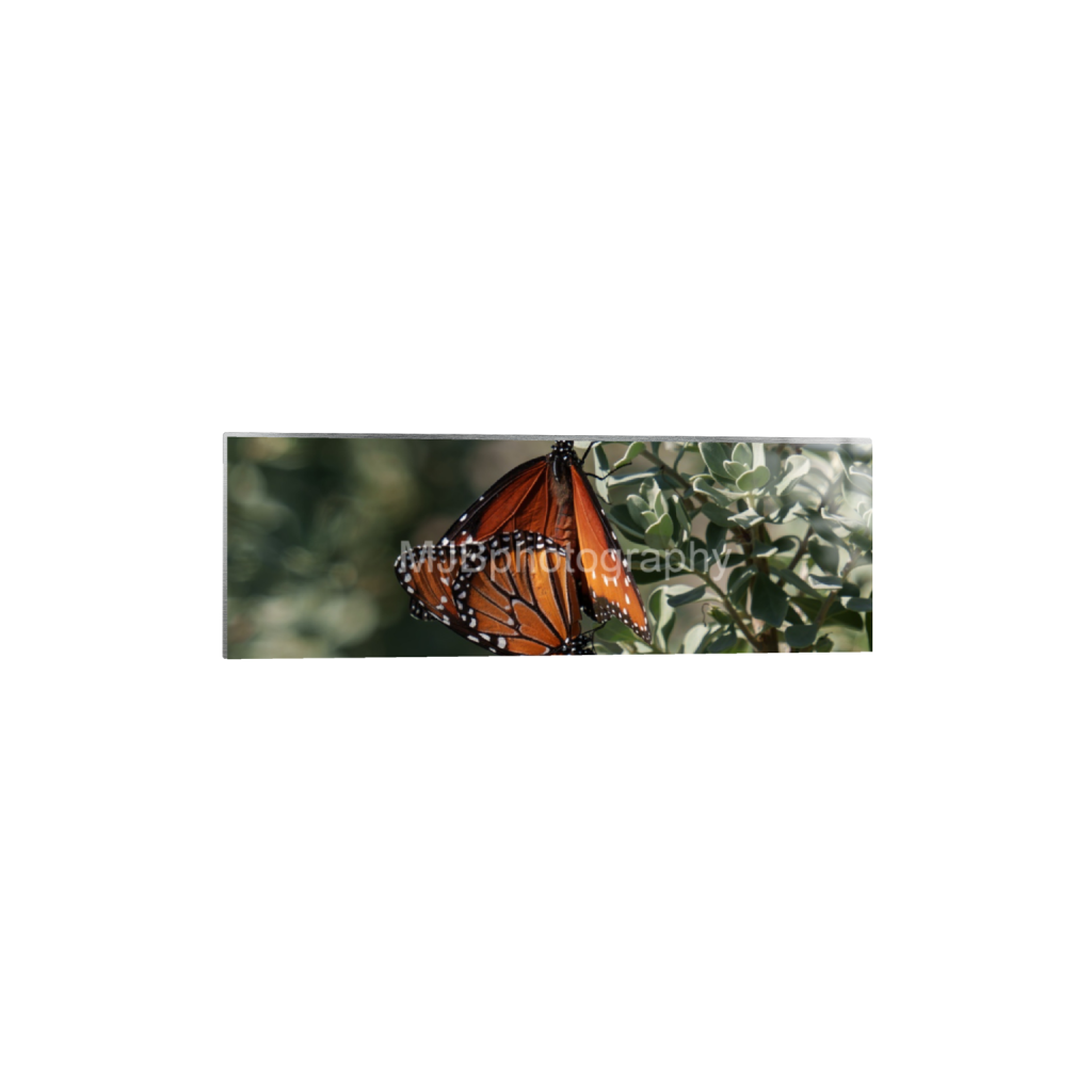 ptq_13_2_0_1235_4465_1488_0_false_ffffff_0_0_eb288cc938636efbc2f2a343dec61dd8.png