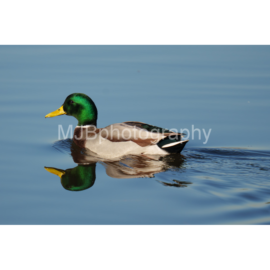 image_original_eb288cc938636efbc2f2a343dec61dd8.png