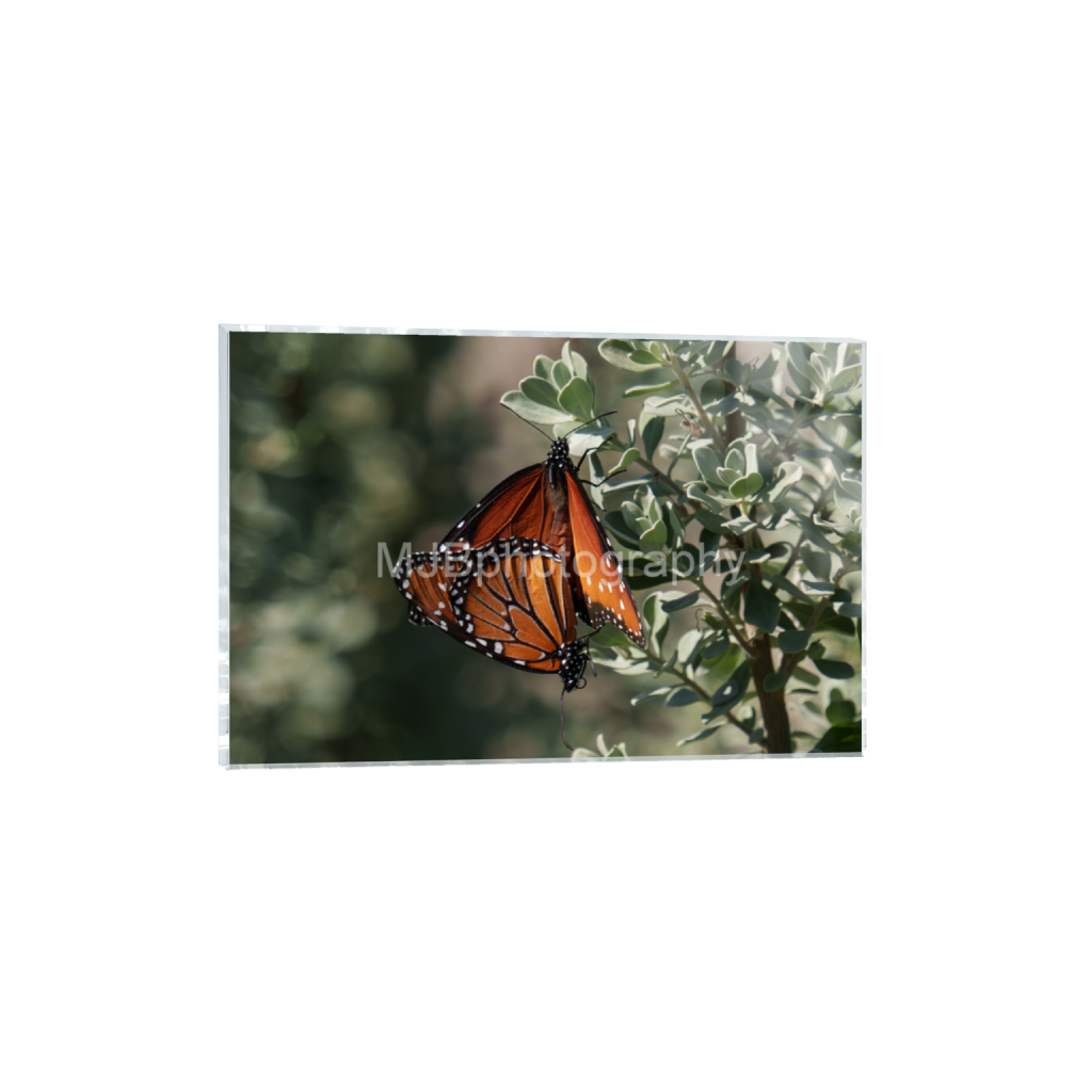 ptq_17_3_0_461_4465_2976_0_false_ffffff_0_0_eb288cc938636efbc2f2a343dec61dd8.png