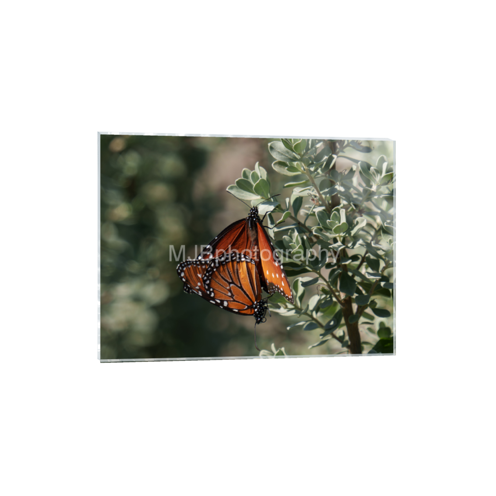 ptq_17_5_0_123_4465_3348_0_false_ffffff_0_0_eb288cc938636efbc2f2a343dec61dd8.png