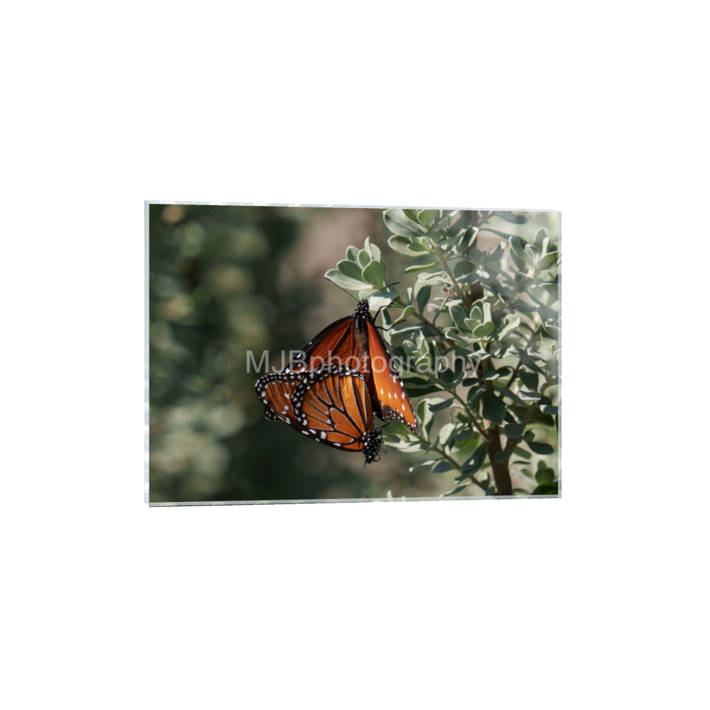 ptq_17_7_0_175_4465_3189_0_false_ffffff_0_0_eb288cc938636efbc2f2a343dec61dd8.png