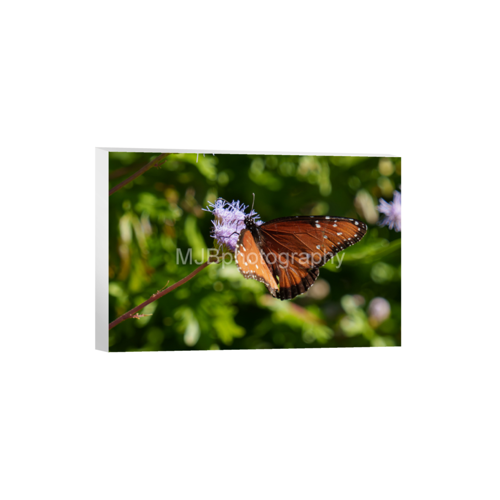 ptq_7_3_0_1106_3318_2212_0_false_ffffff_0_0_eb288cc938636efbc2f2a343dec61dd8.png
