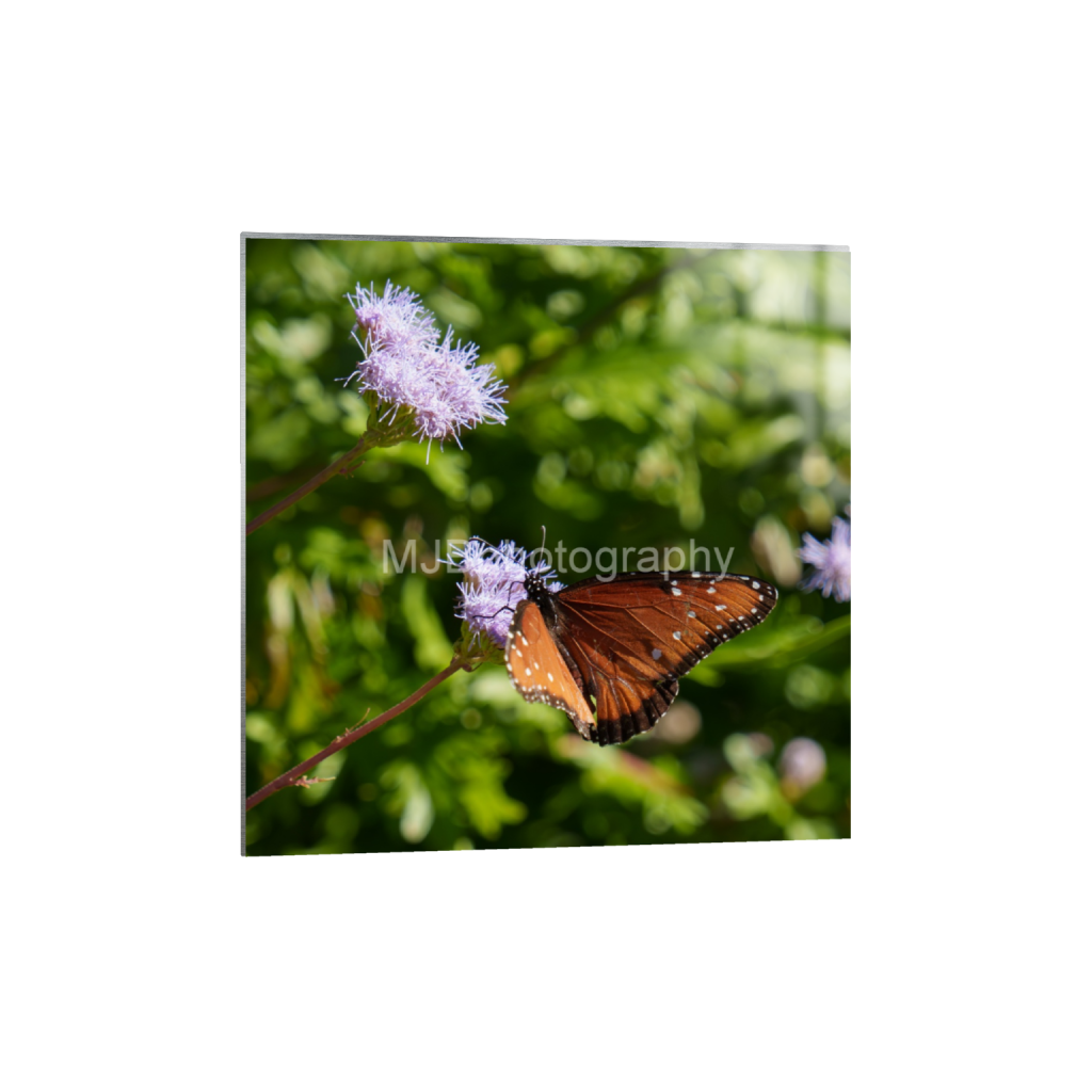 ptq_13_0_0_0_3318_3318_0_false_ffffff_0_0_eb288cc938636efbc2f2a343dec61dd8.png