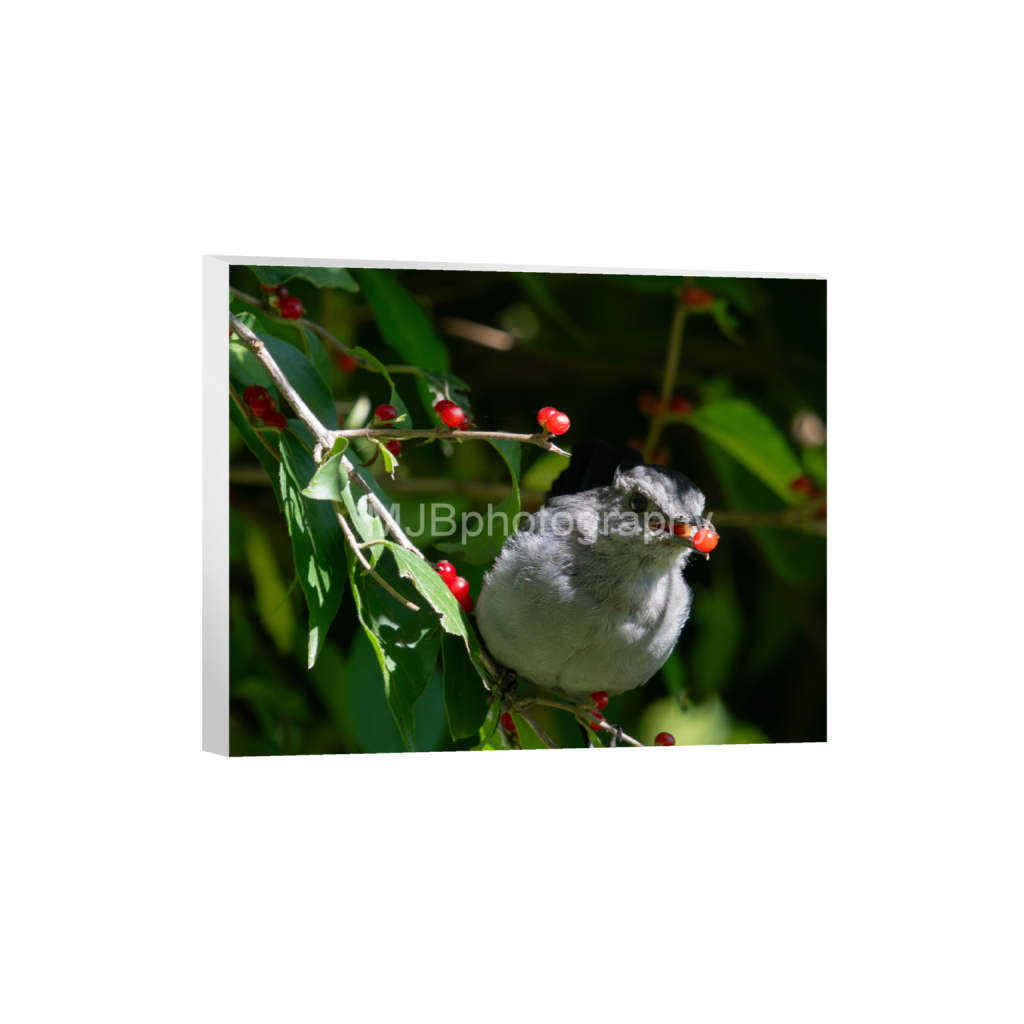 ptq_7_6_0_0_3870_3096_0_false_ffffff_0_0_eb288cc938636efbc2f2a343dec61dd8.png