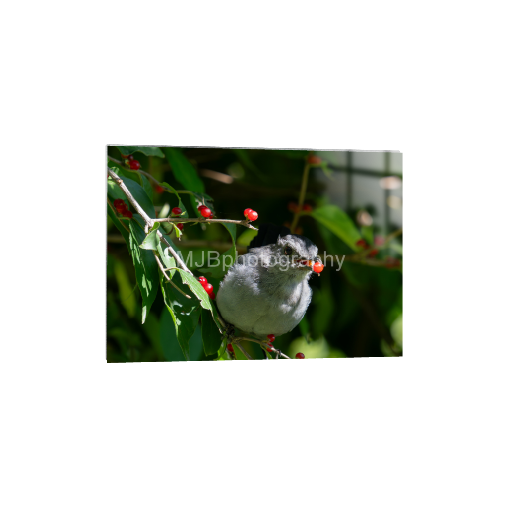 ptq_13_7_0_0_4334_3096_0_false_ffffff_0_0_eb288cc938636efbc2f2a343dec61dd8.png