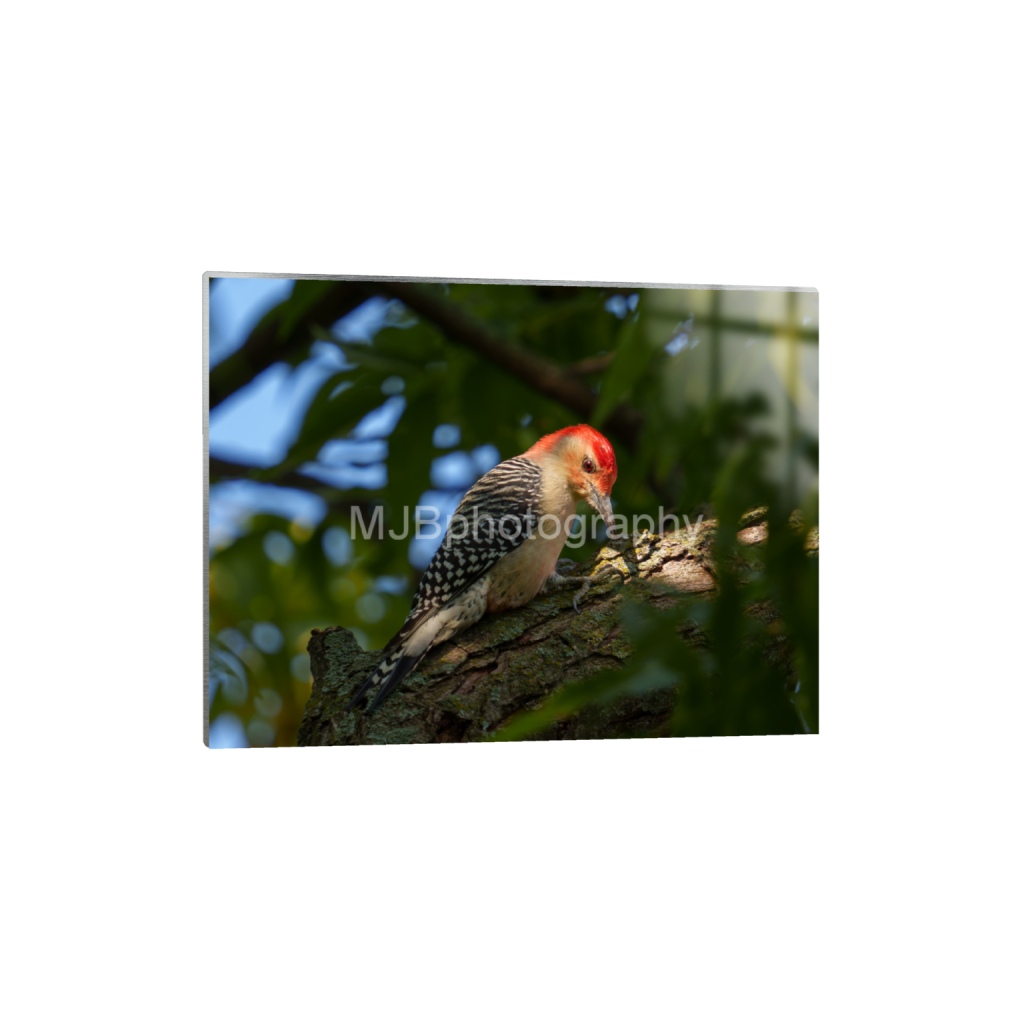ptq_13_5_542_0_4253_3190_0_false_ffffff_0_0_eb288cc938636efbc2f2a343dec61dd8.png