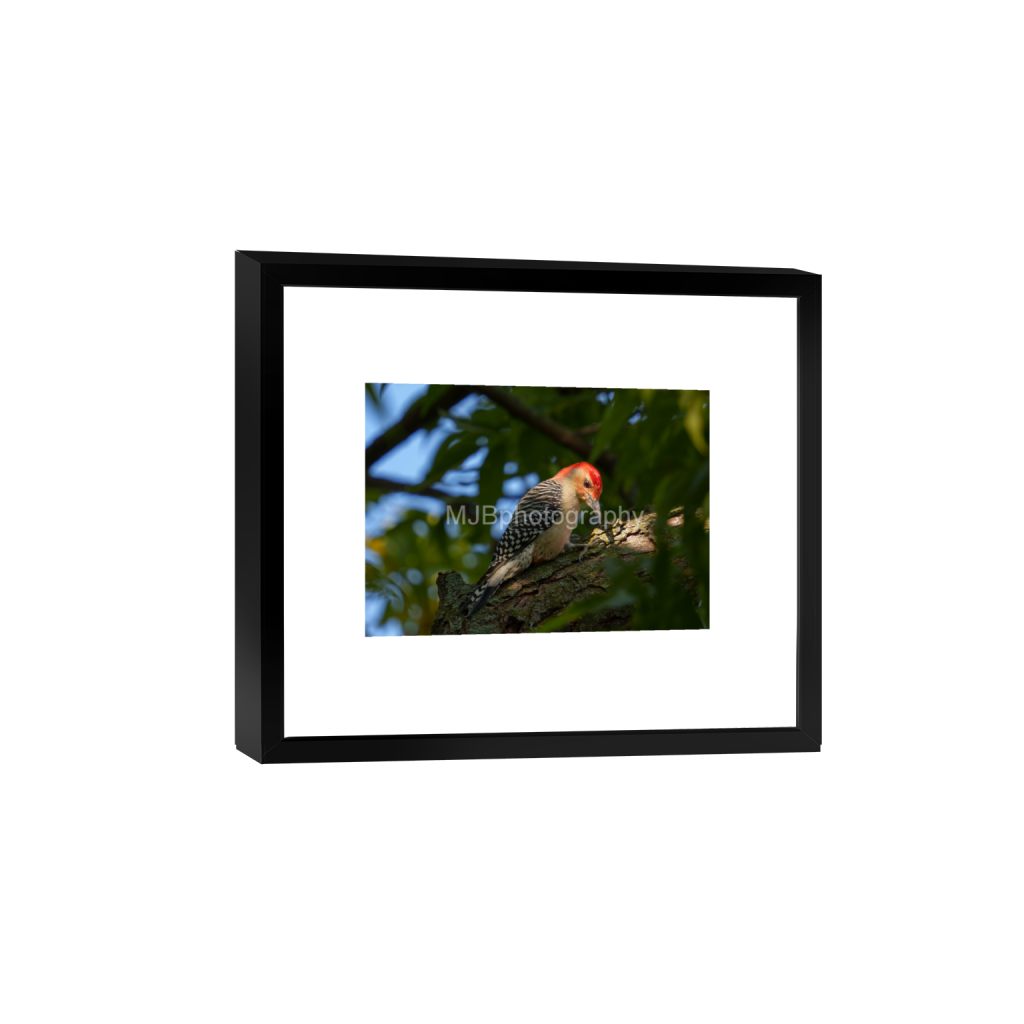 ptq_45_7_319_0_4466_3190_0_false_ffffff_0_0_eb288cc938636efbc2f2a343dec61dd8.png