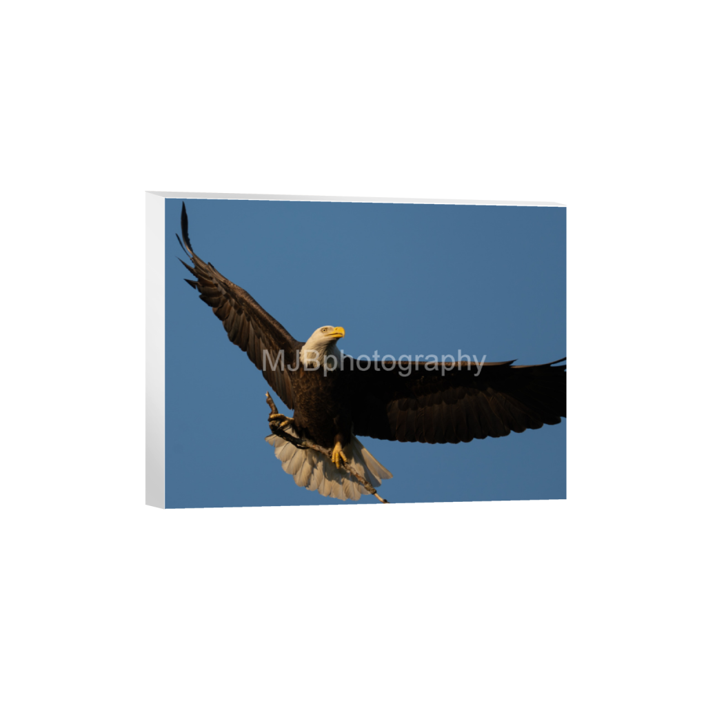 ptq_7_5_398_0_5054_3791_0_false_ffffff_0_0_eb288cc938636efbc2f2a343dec61dd8.png