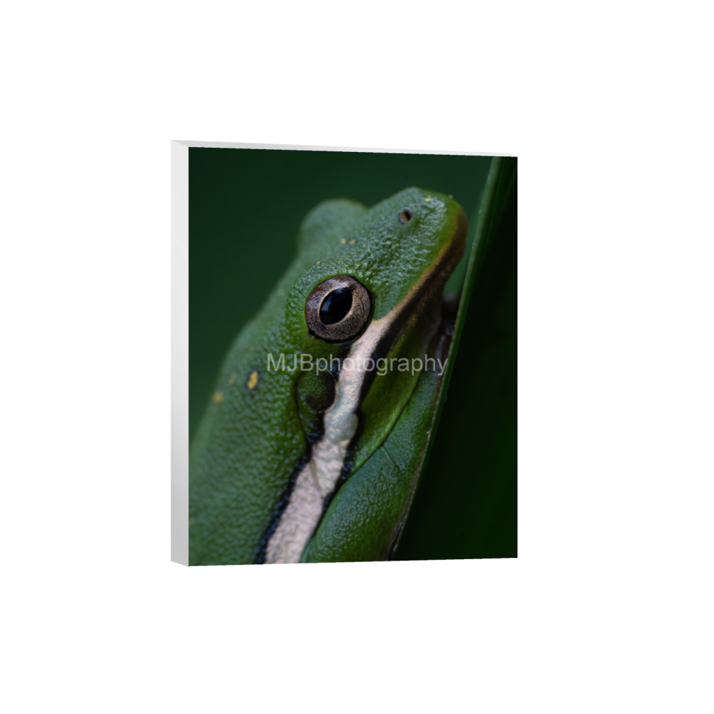 ptq_7_6_0_335_4128_5160_0_false_ffffff_0_0_eb288cc938636efbc2f2a343dec61dd8.png