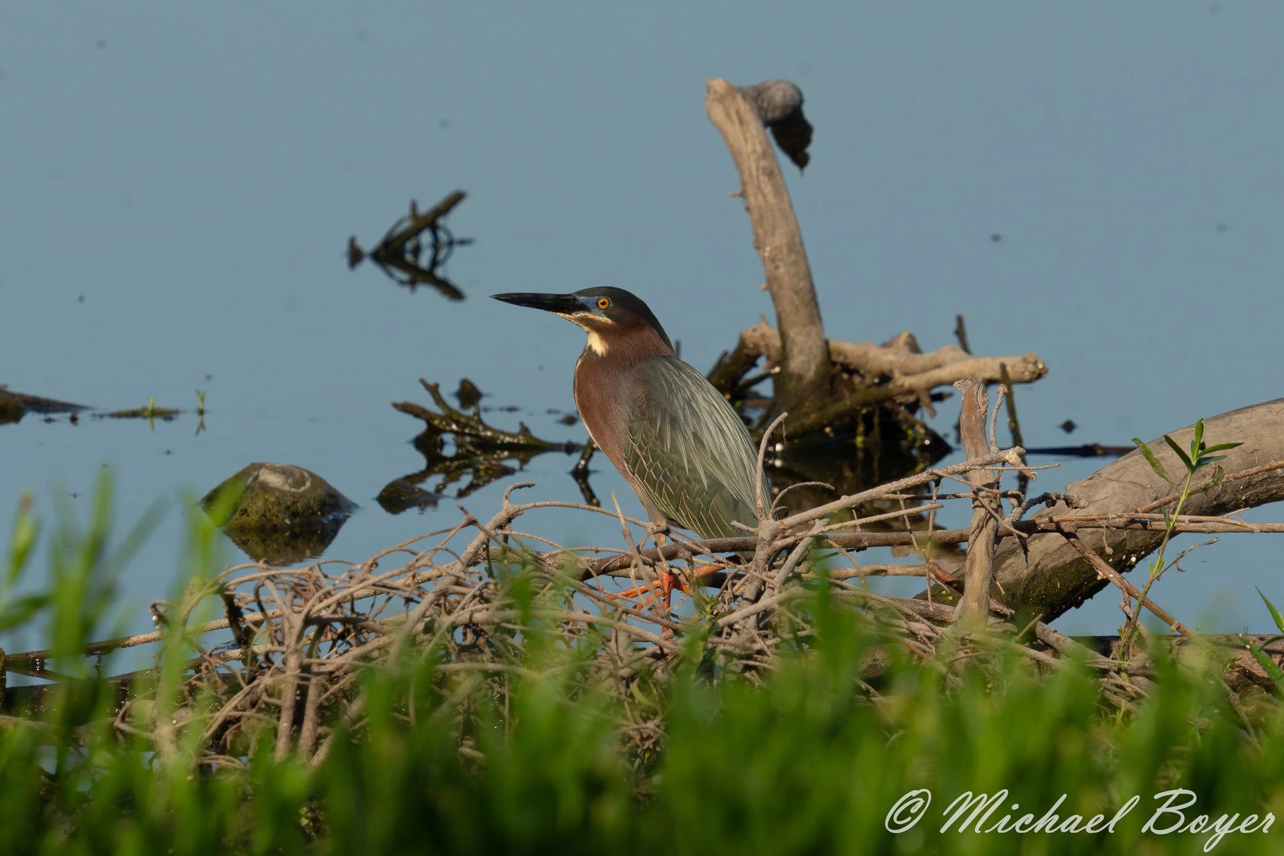 MJB08144-1.jpg