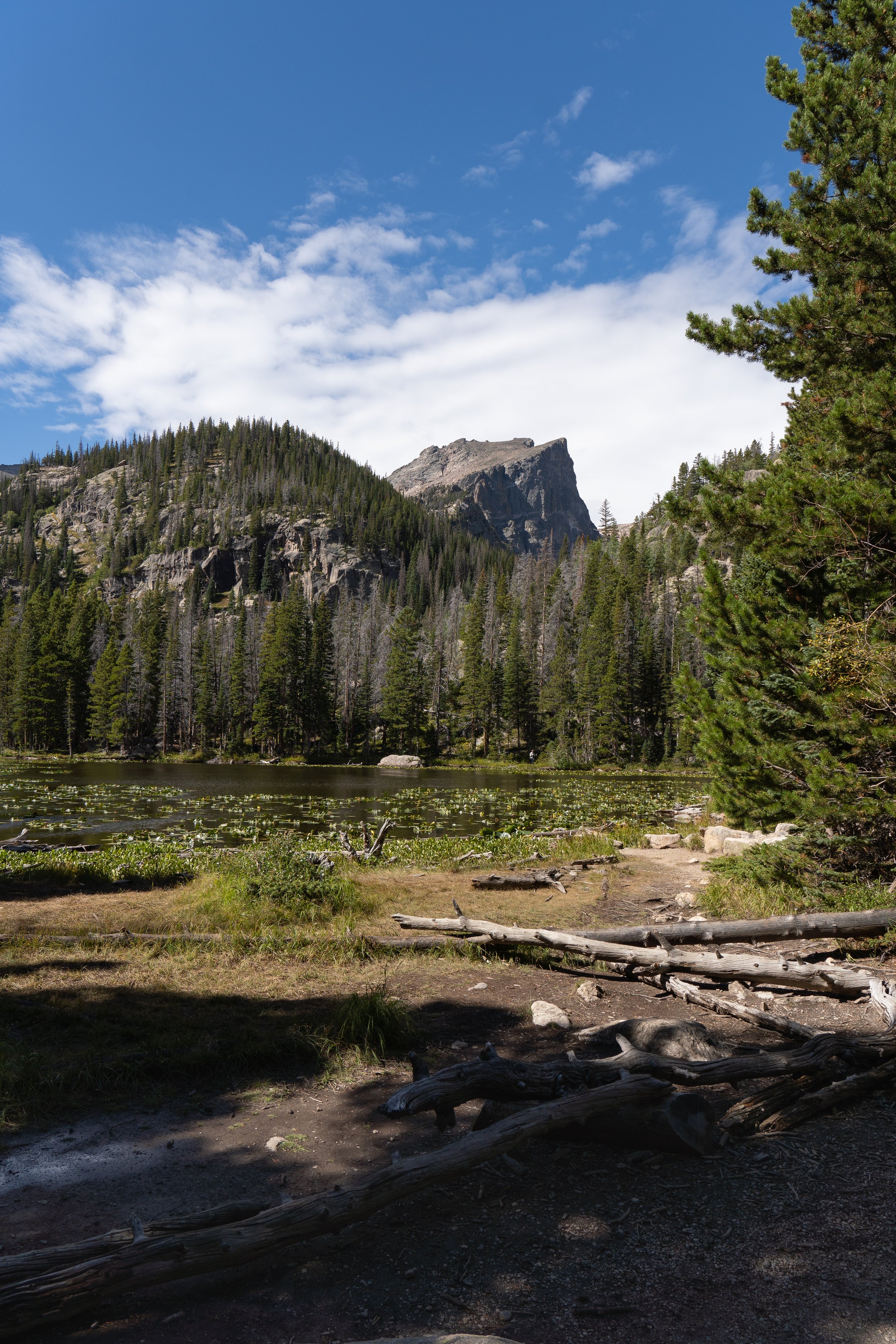 MJB02768-3.jpg