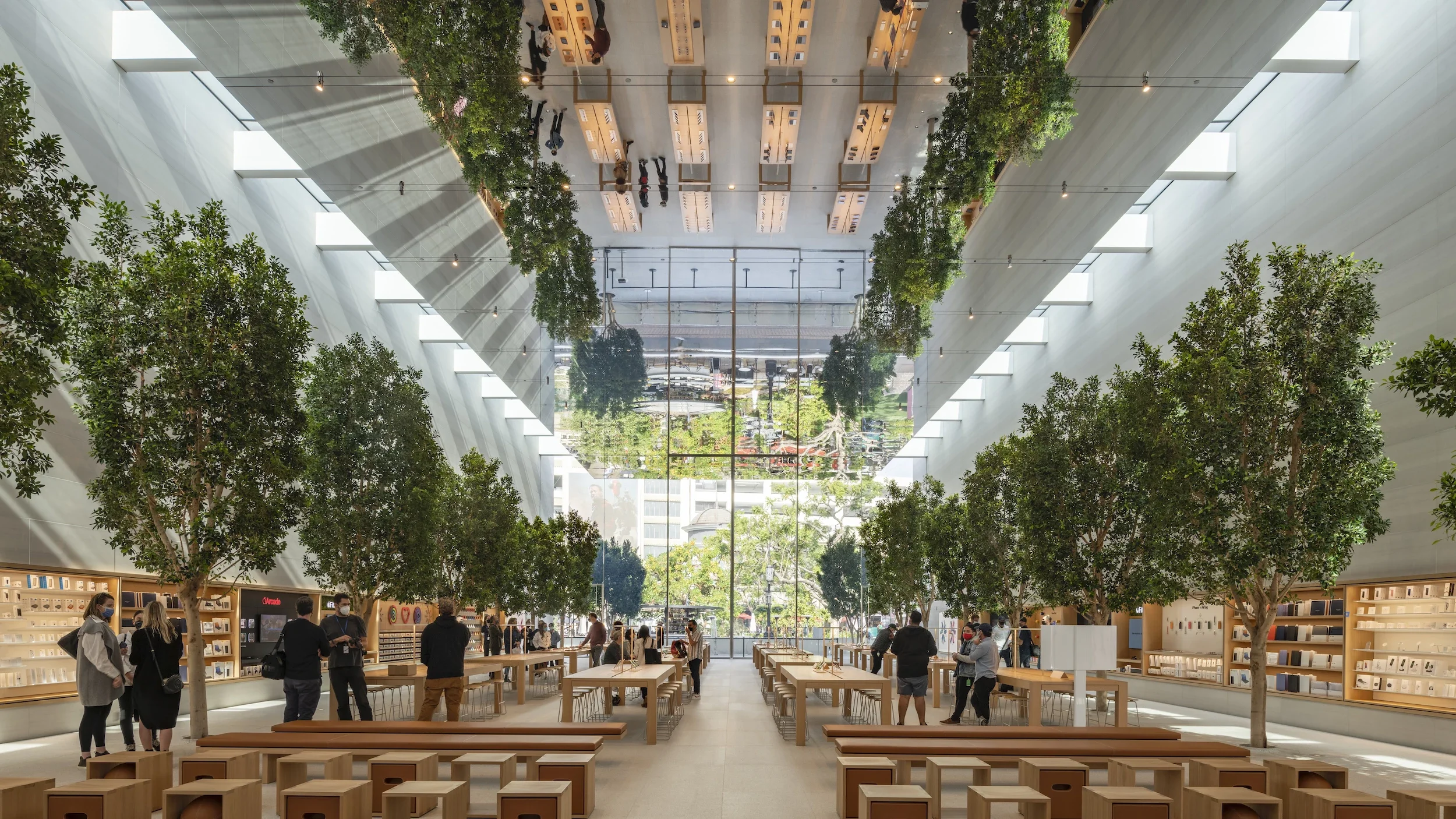 Apple store Genius Grove design with biophilic elements replacing traditional Genius Bar counter