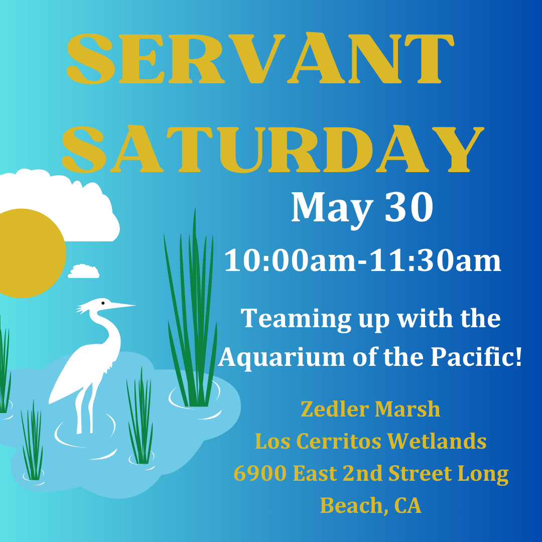 Servant Saturday