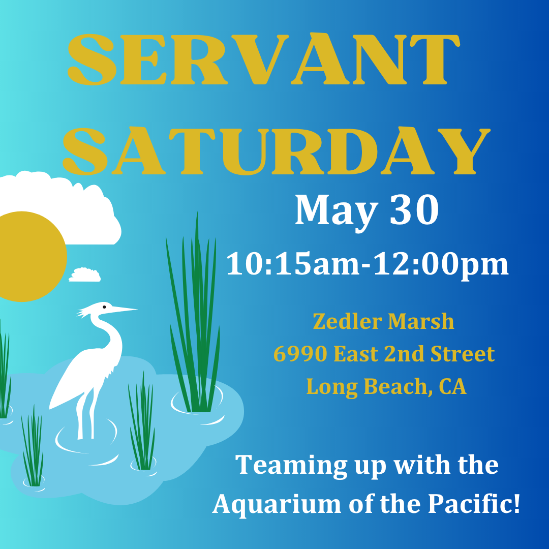 Servant Saturday