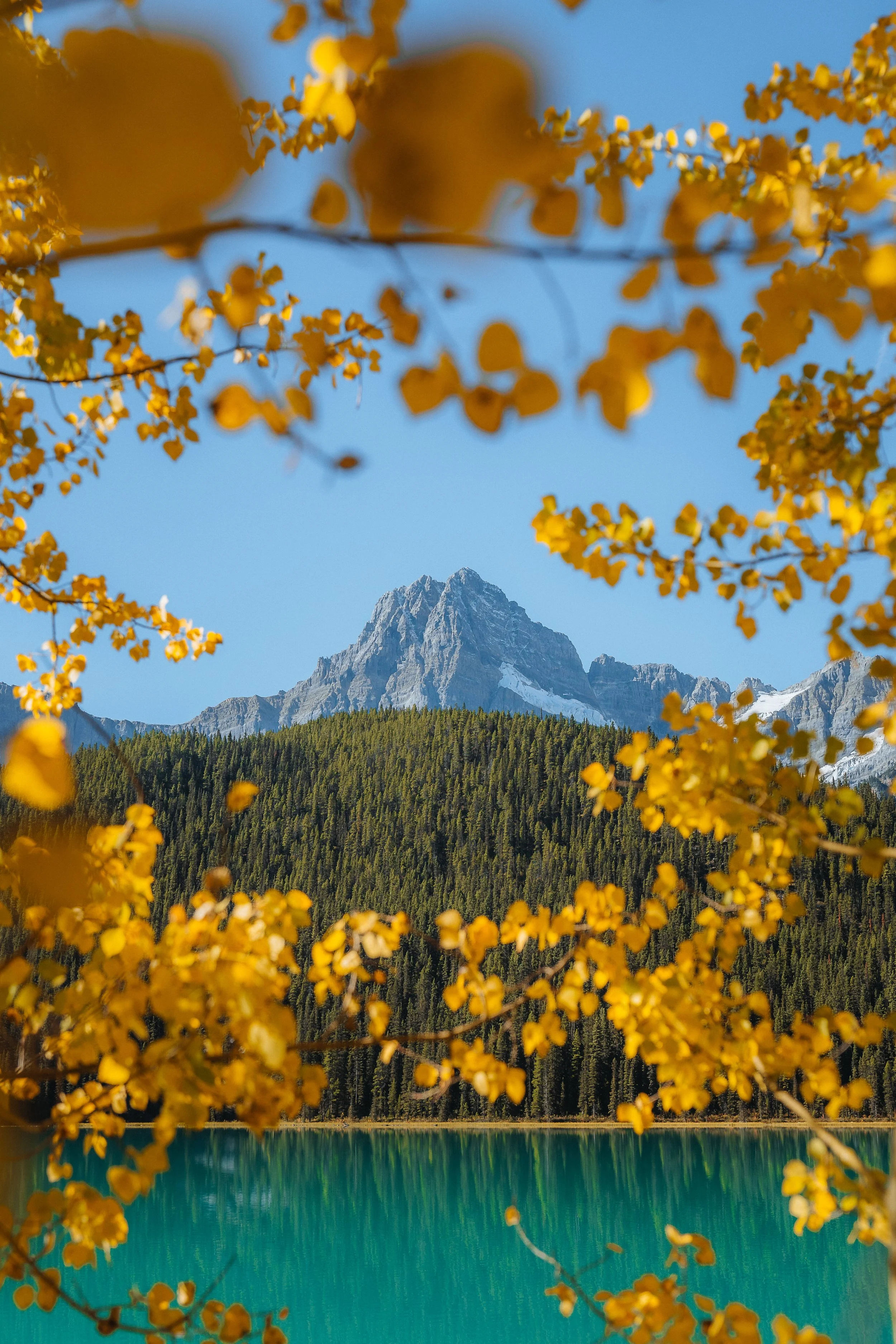 canada_banff_a7iii (1177)-4.jpg