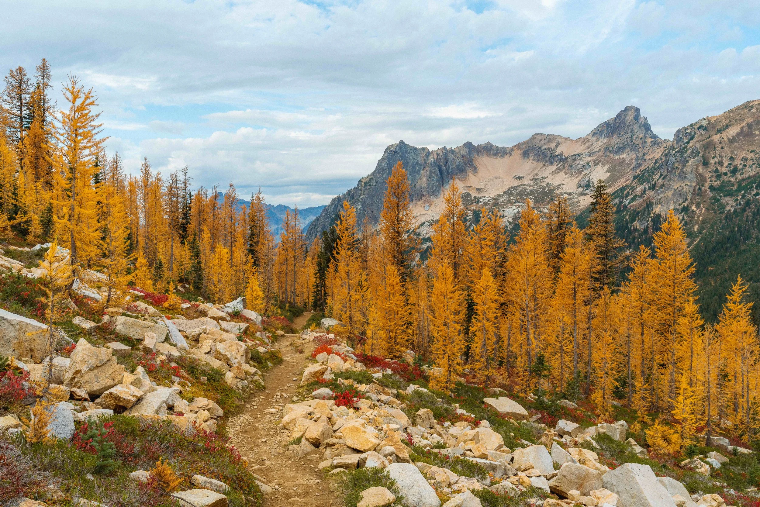 winthrop_cutthroat_a7riii (187)-6.jpg