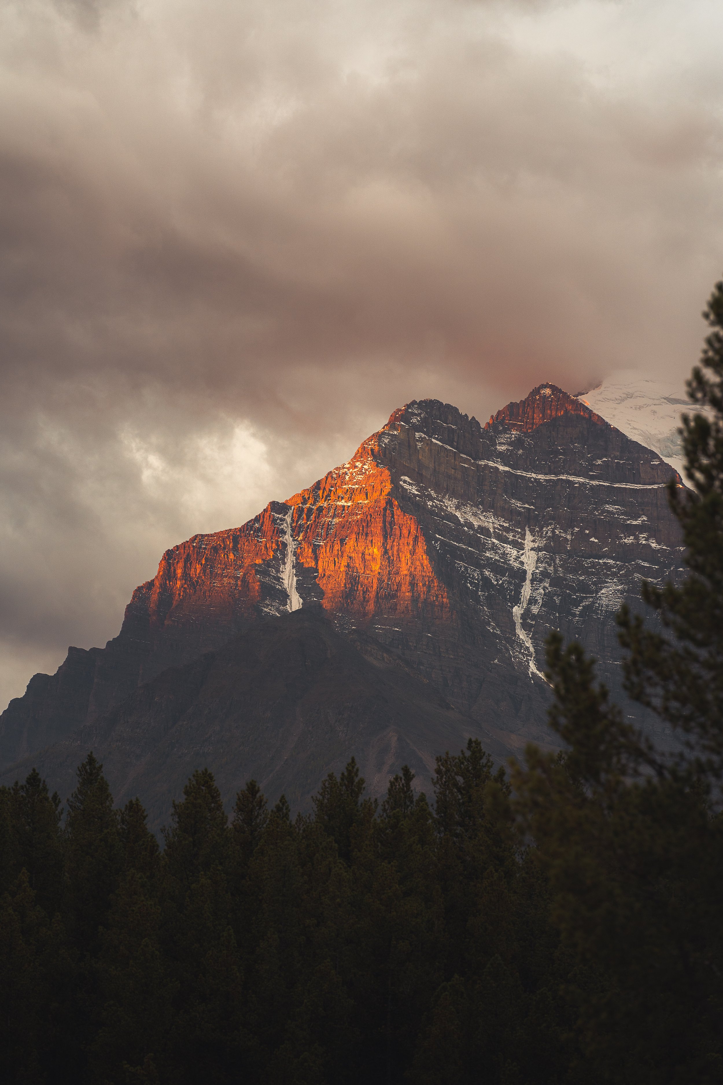 canada_banff_a7iii (496)-1.jpg