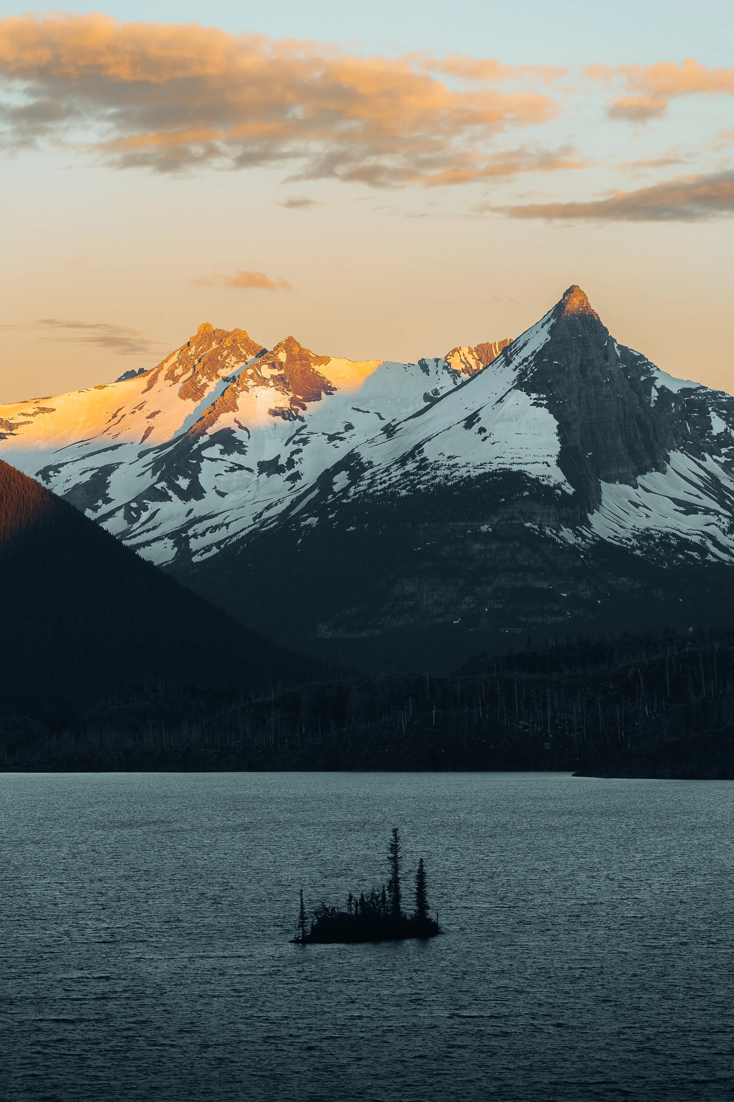 _DSC8278.jpg