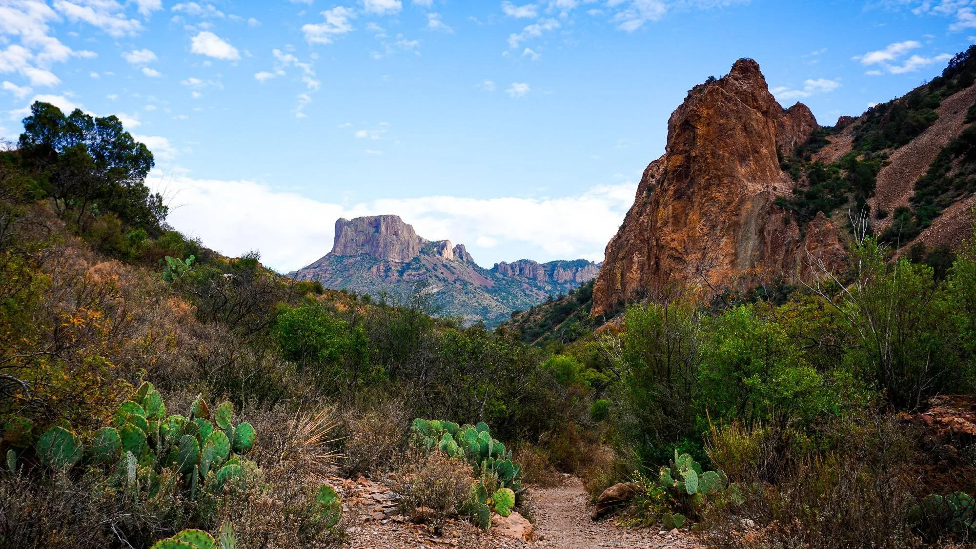 DesignsByMeghen_Print Worthy 2022_WEB-4.jpg