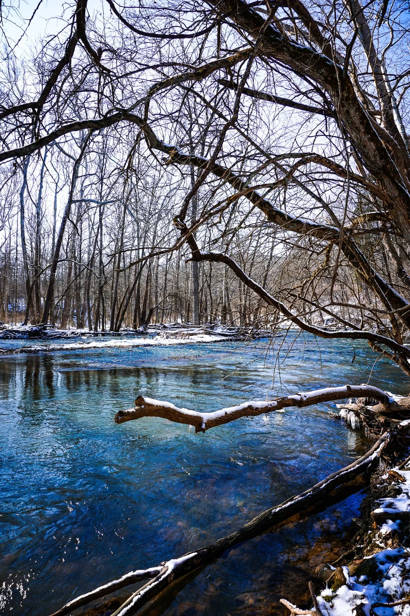 DesignsByMeghen_Print Worthy 2019_WEB-1.jpg