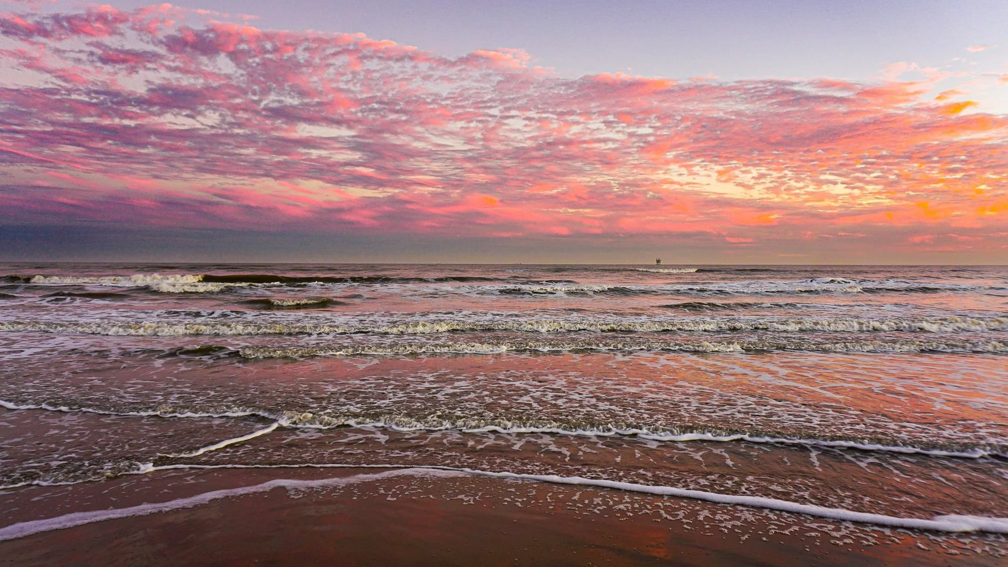 DesignsByMeghen_Print Worthy 2022_WEB-3.jpg