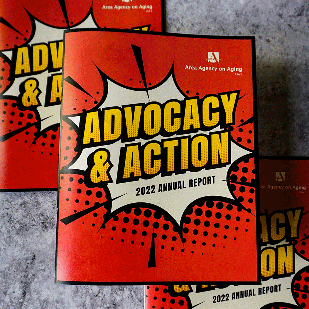 AAA Annual Reports