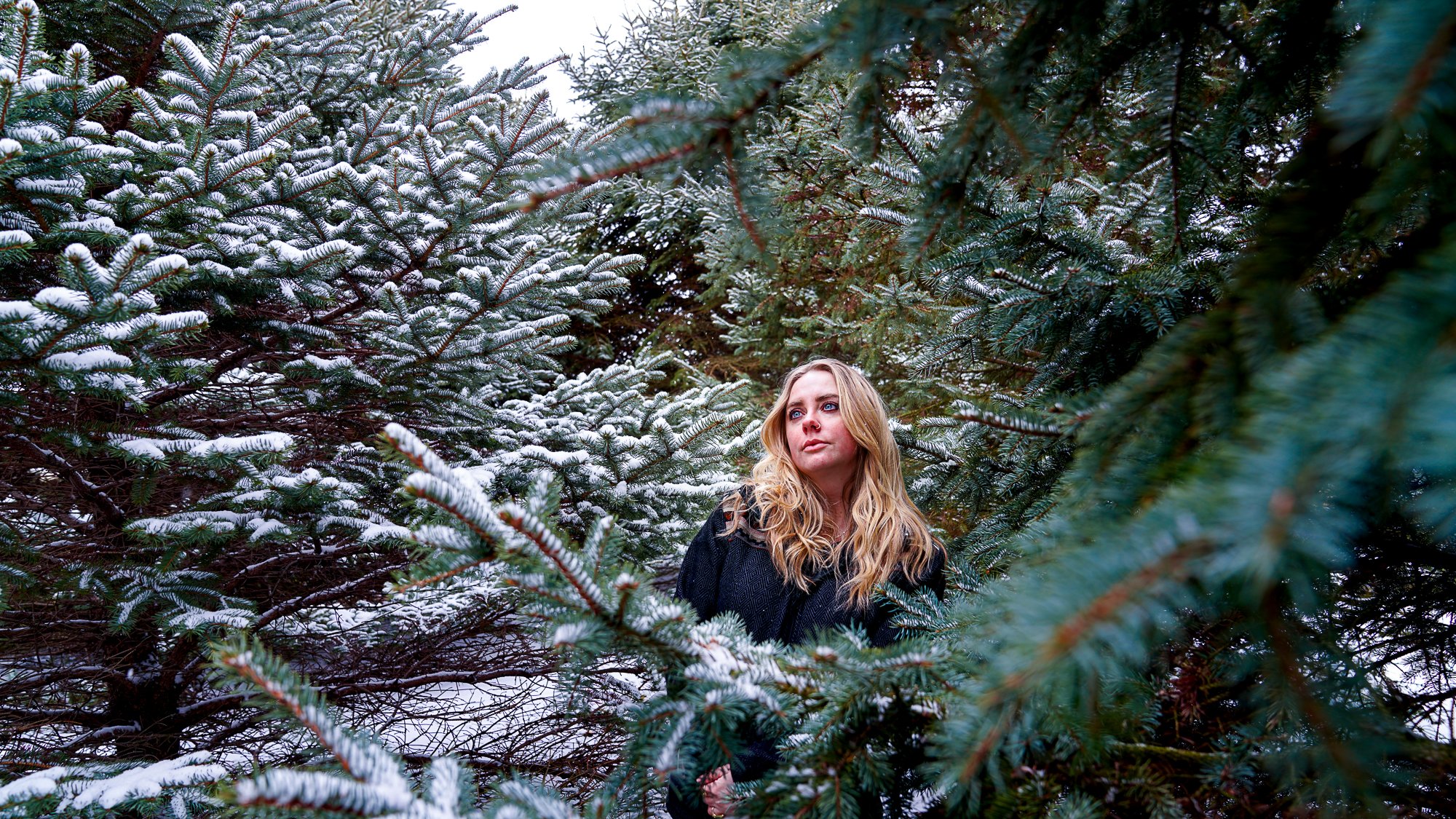 February Snow Pine Portraits-7.jpg