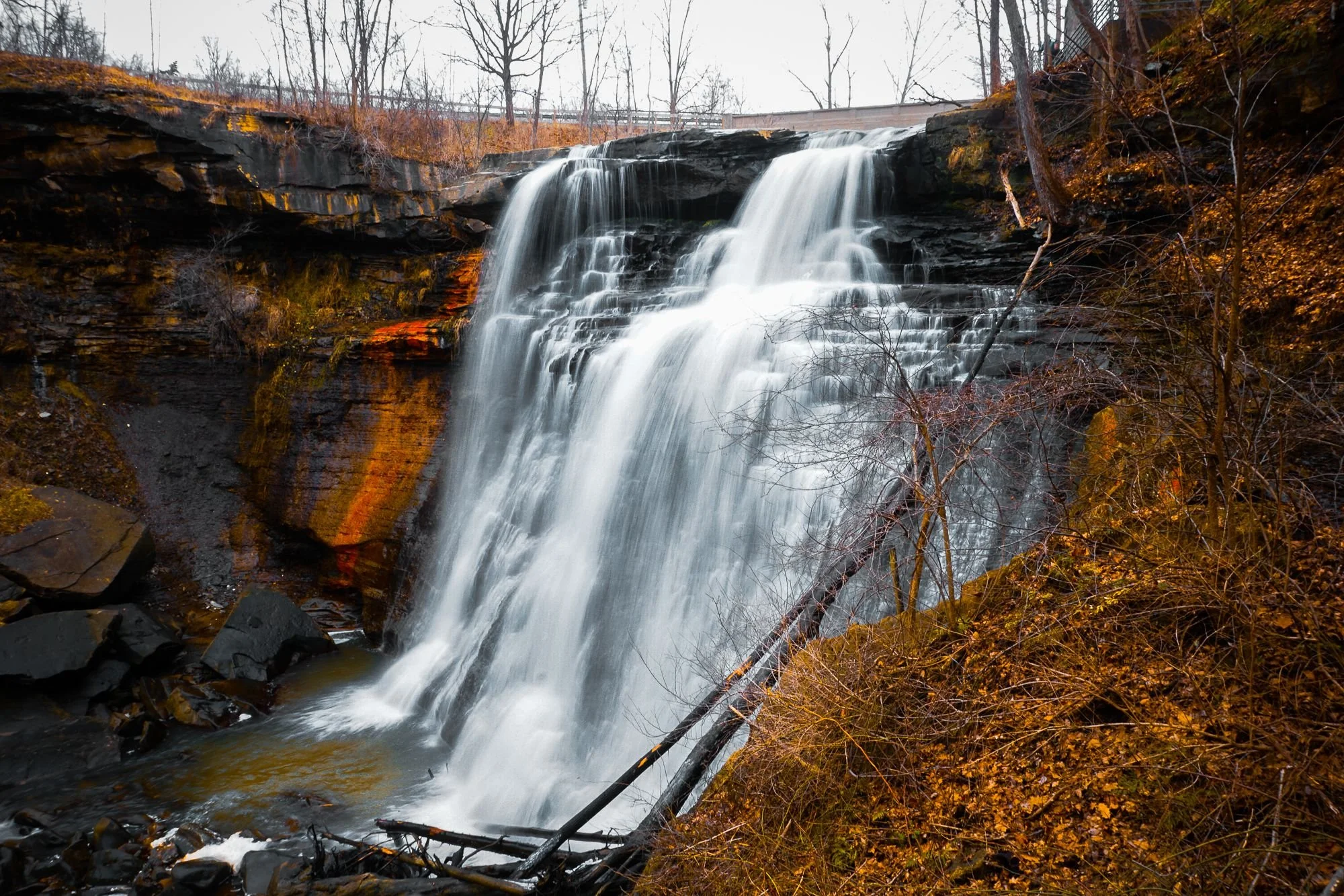 DesignsByMeghen_Print Worthy 2018_WEB-1.jpg