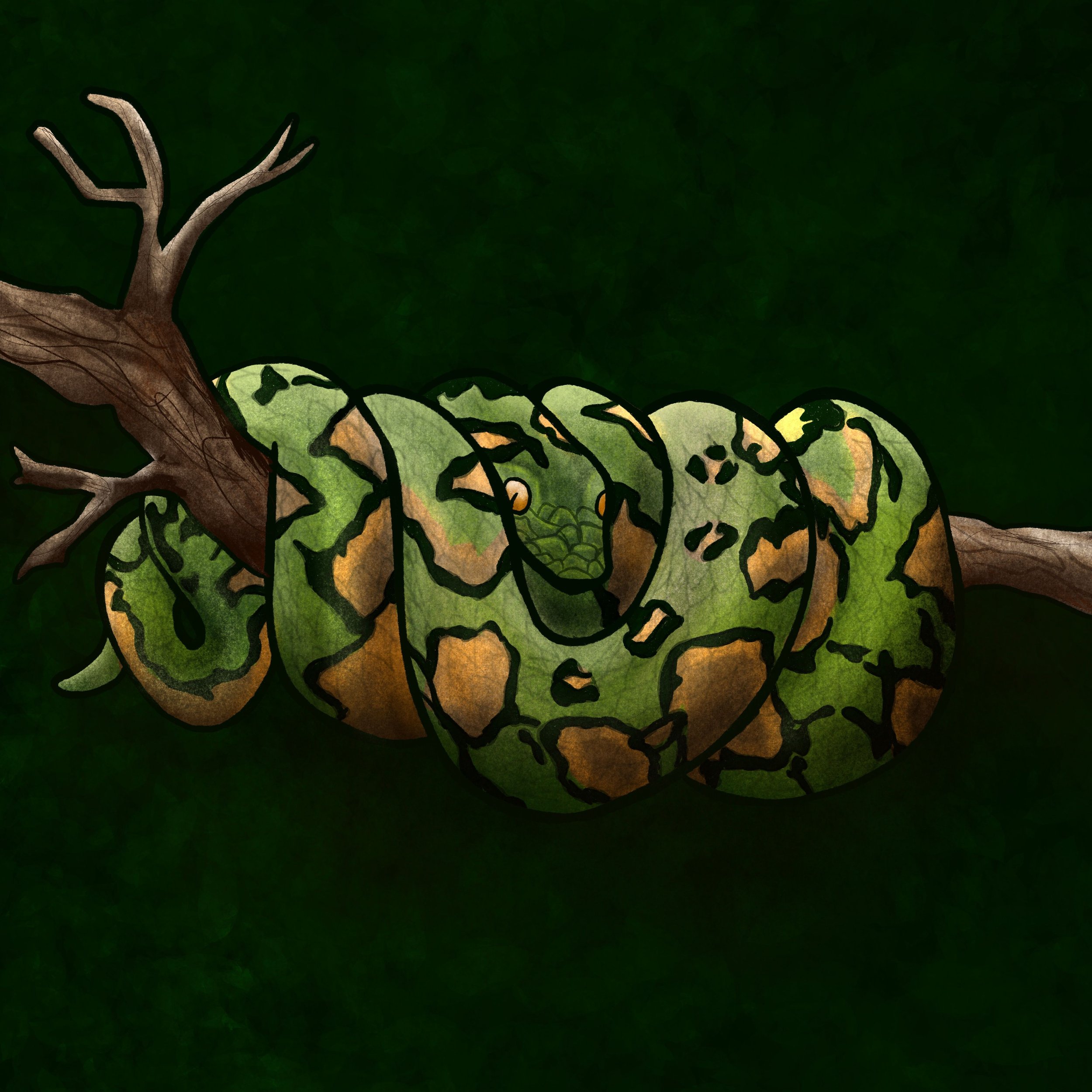 Snake 001