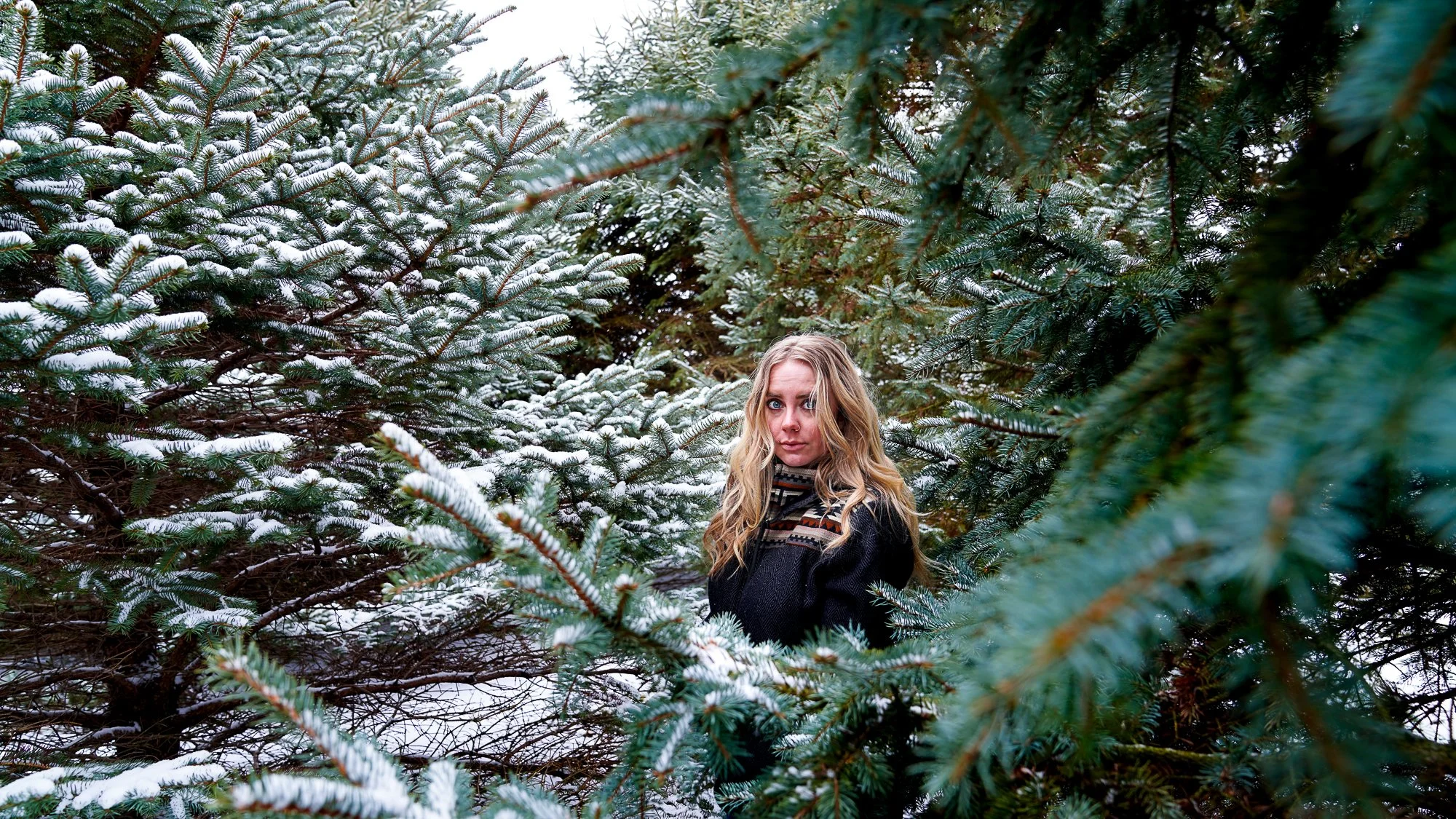 February Snow Pine Portraits-6.jpg