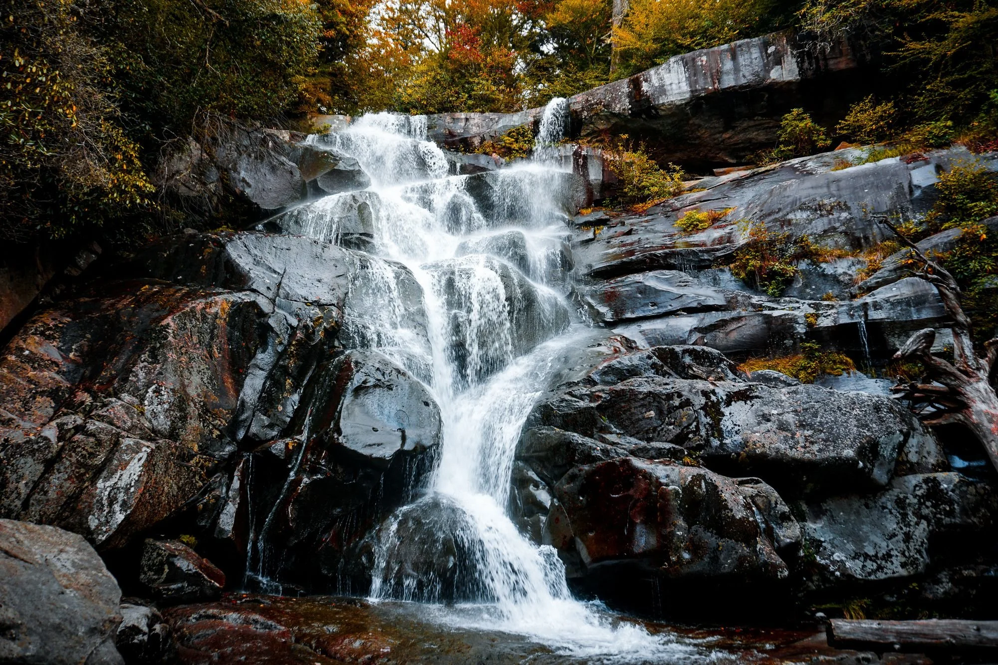 DesignsByMeghen_Print Worthy 2018_WEB-3.jpg