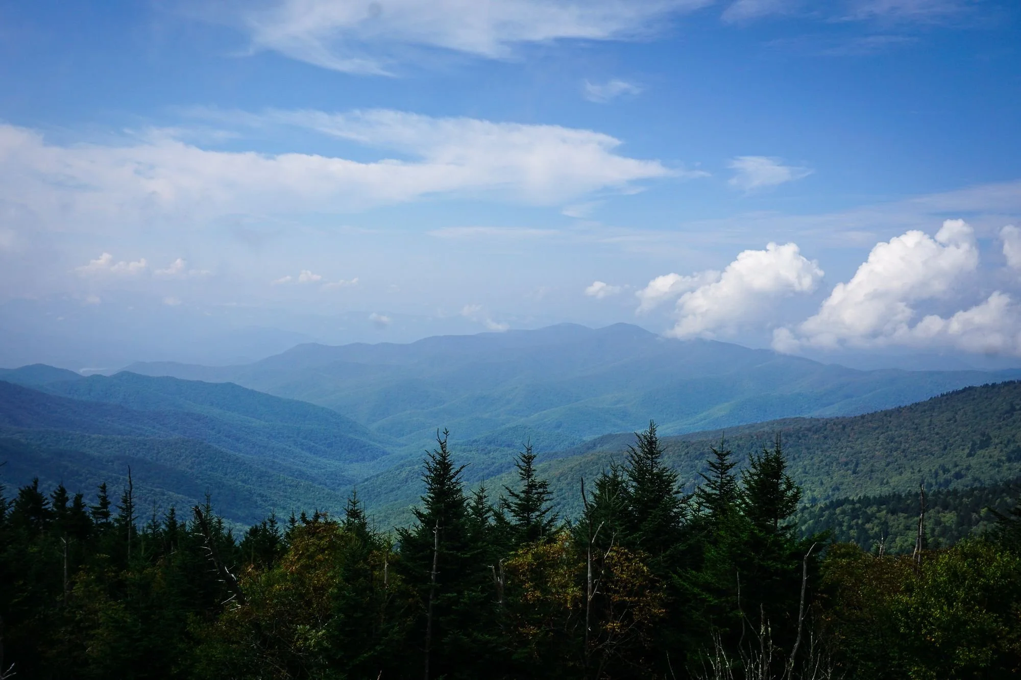 DesignsByMeghen_Print Worthy 2018_WEB-2.jpg